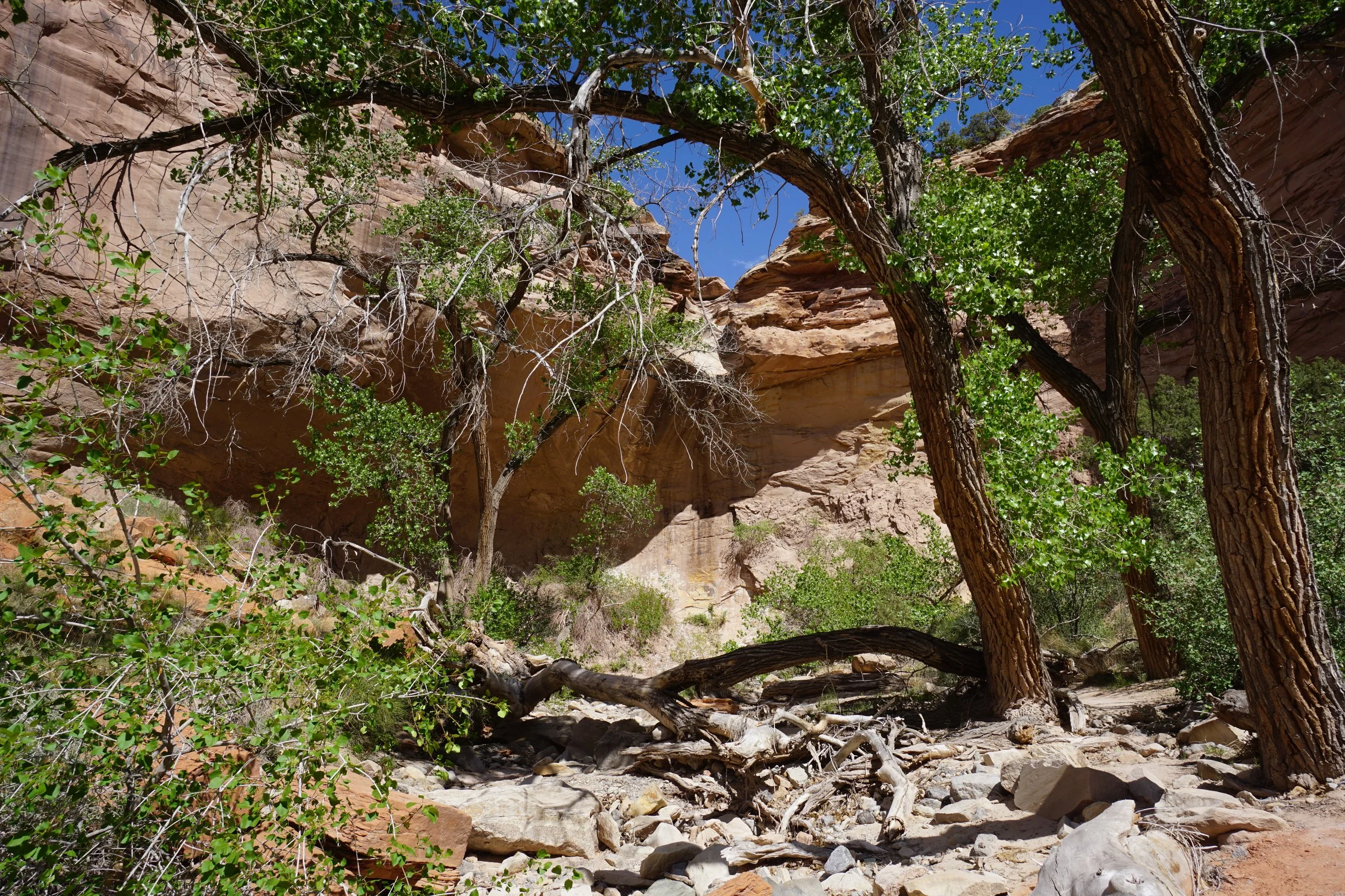 EchoCanyonCOLMDSC06235.JPG