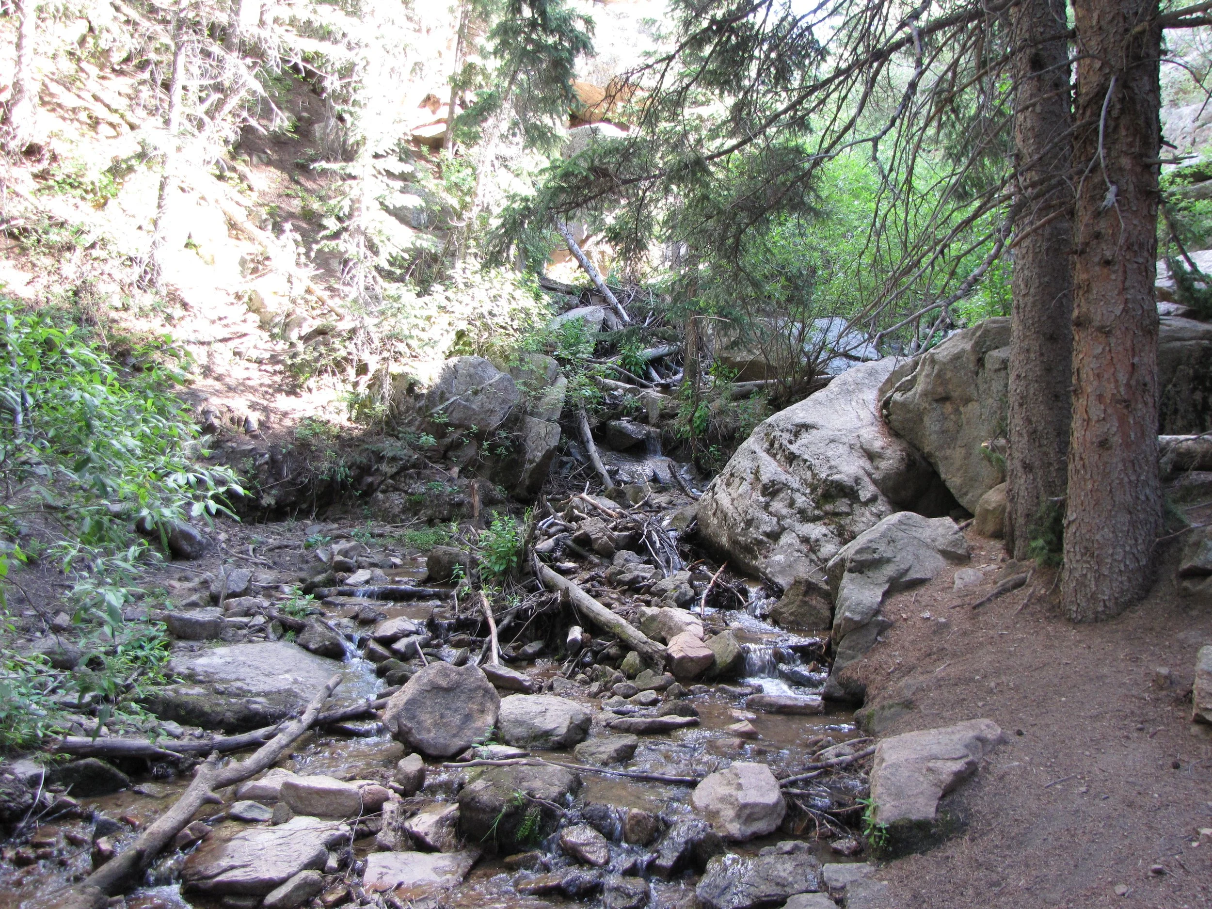 MaxwellFallsIMG_0407.jpg