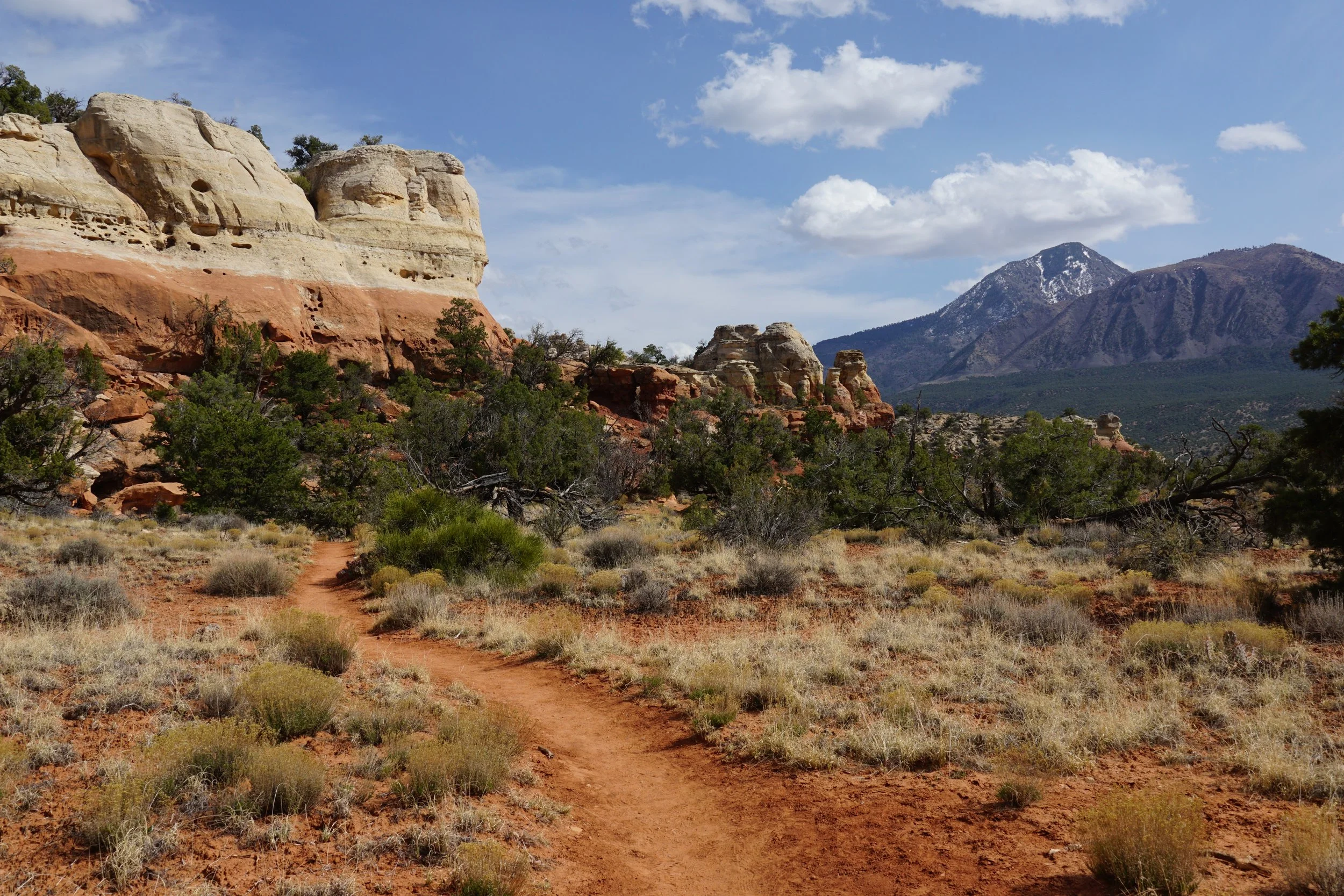 SandCanyonDSC03513.JPG