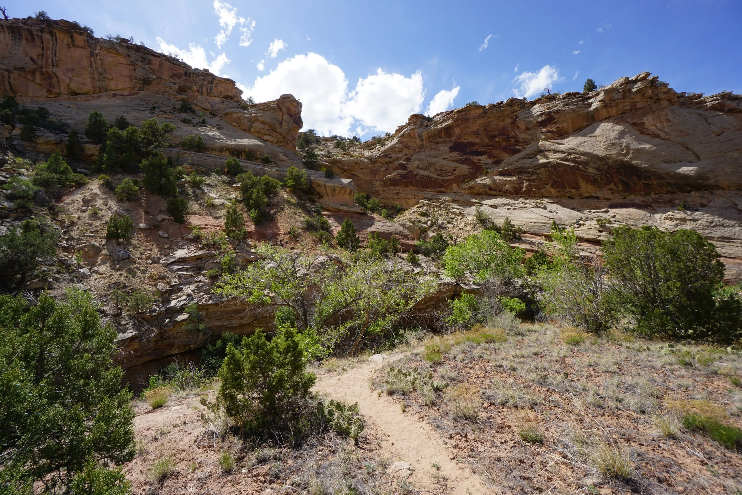 EchoCanyonCOLMDSC06205.JPG