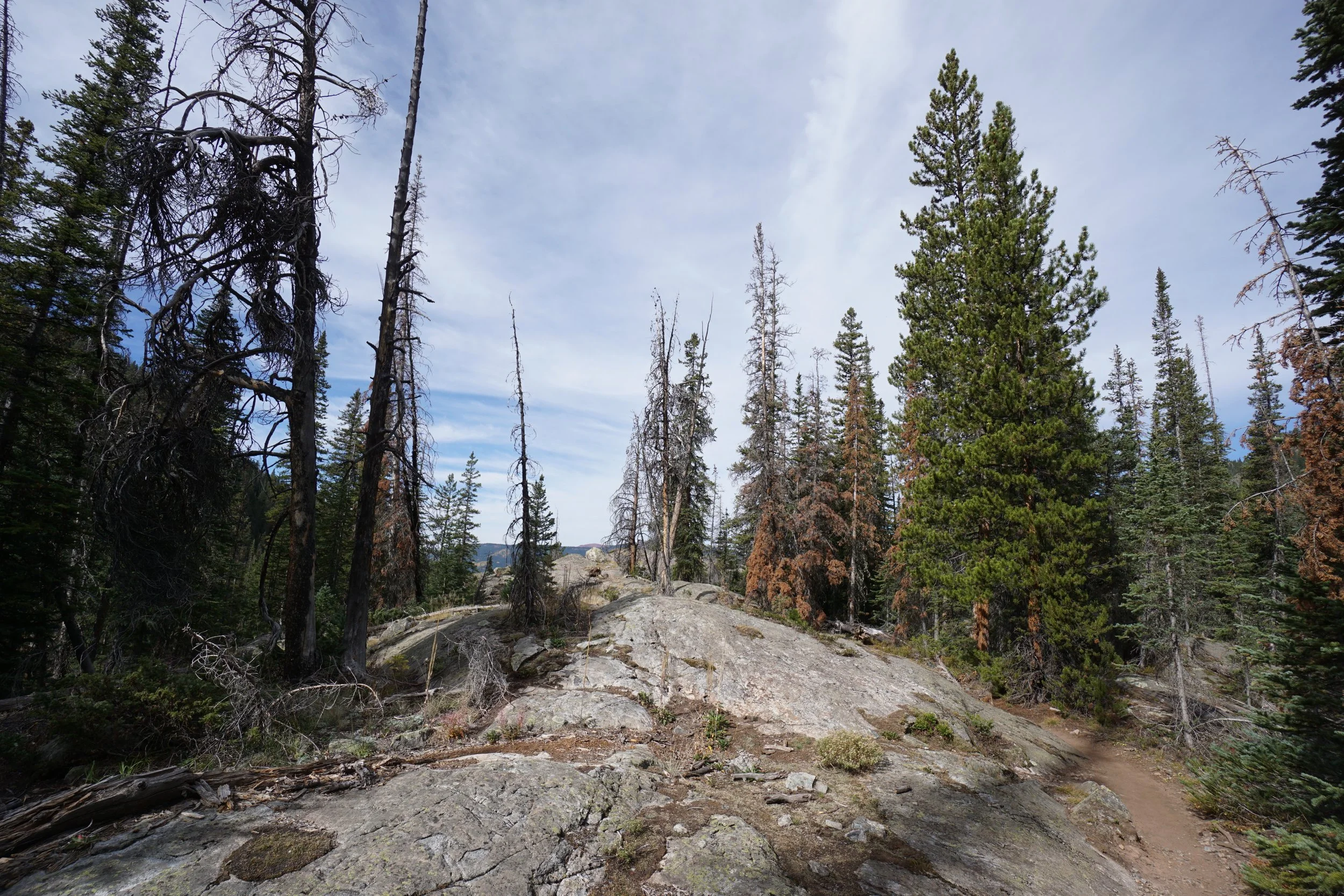 Eagle LakeDSC06915.JPG