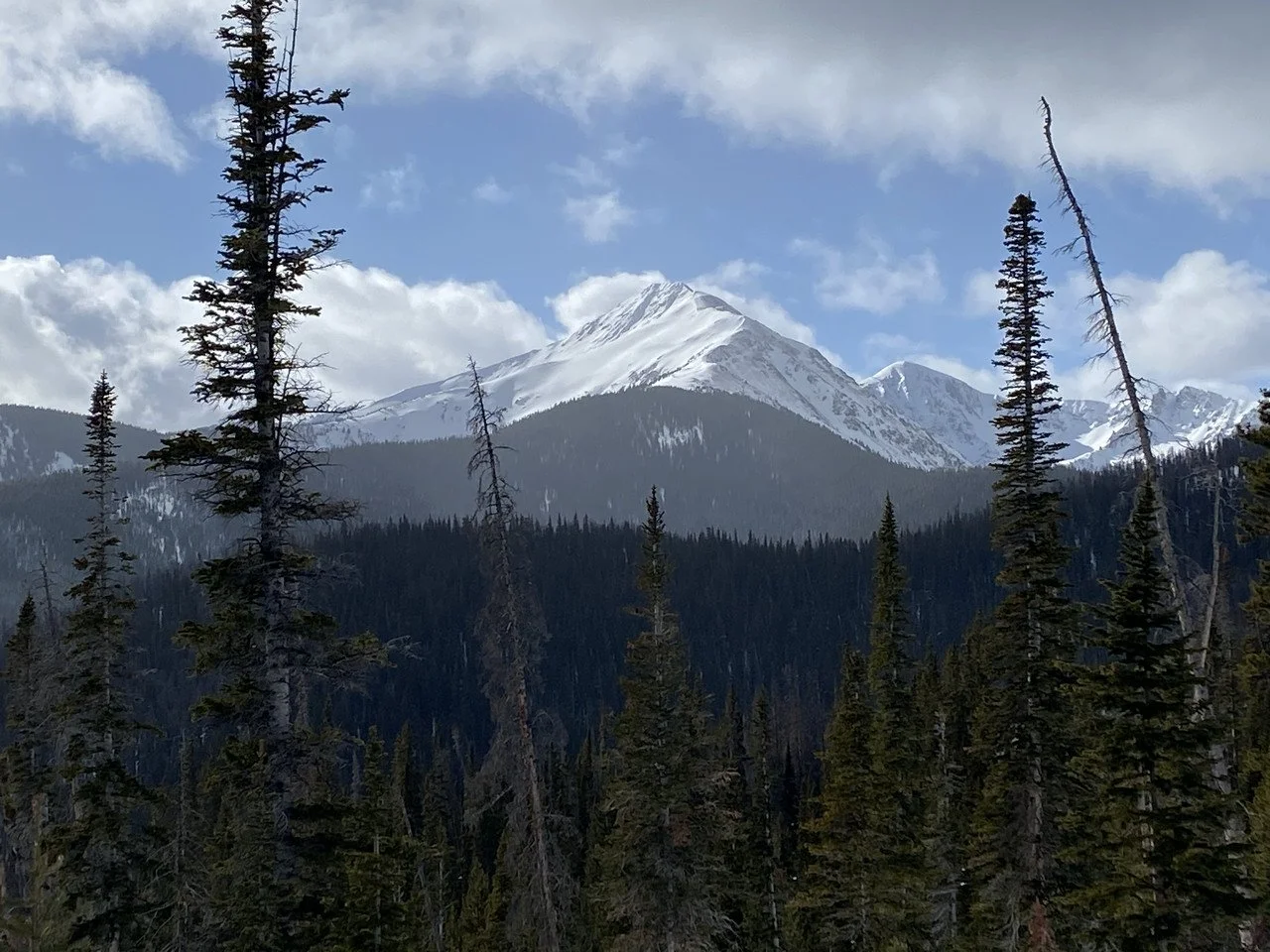 2019123113124439--5306060838222629524-IMG_5413_heic-X2.jpg
