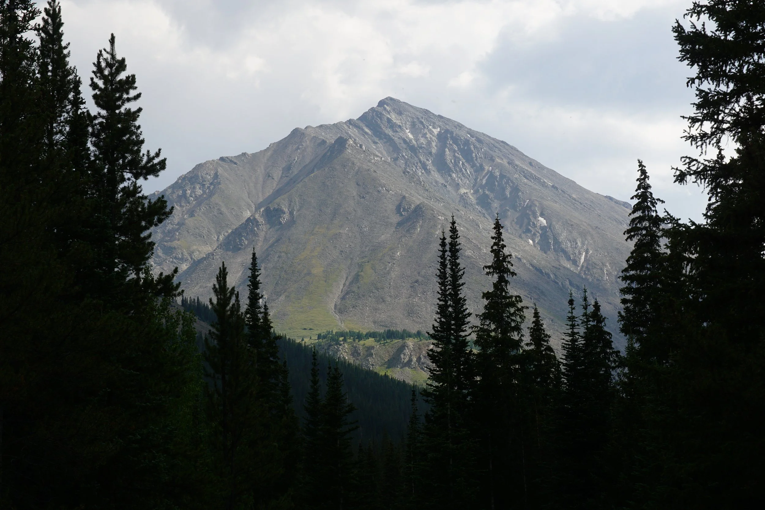 GrizzlyGulchDSC08575.JPG