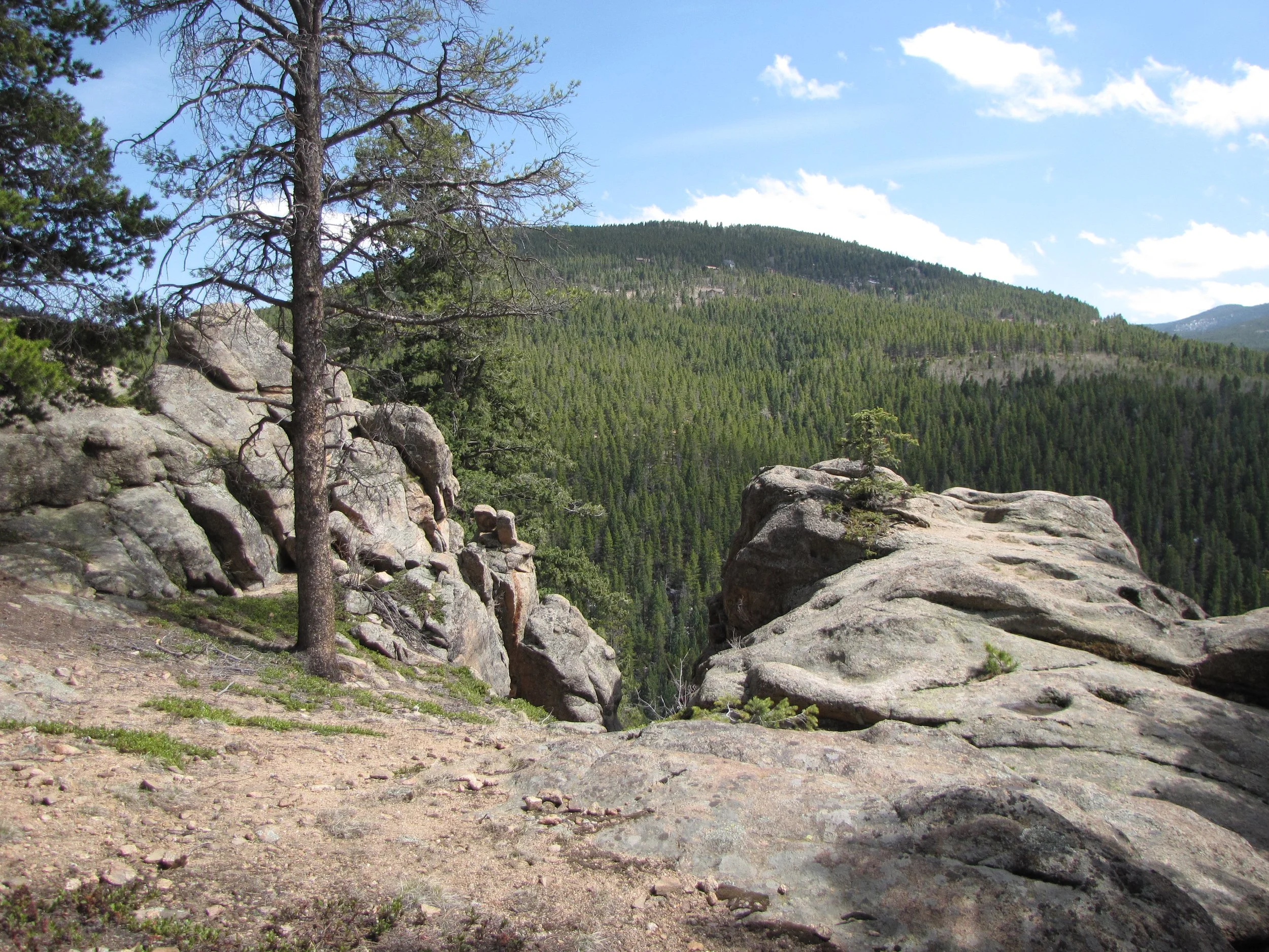 MaxwellFallsIMG_8051.jpg