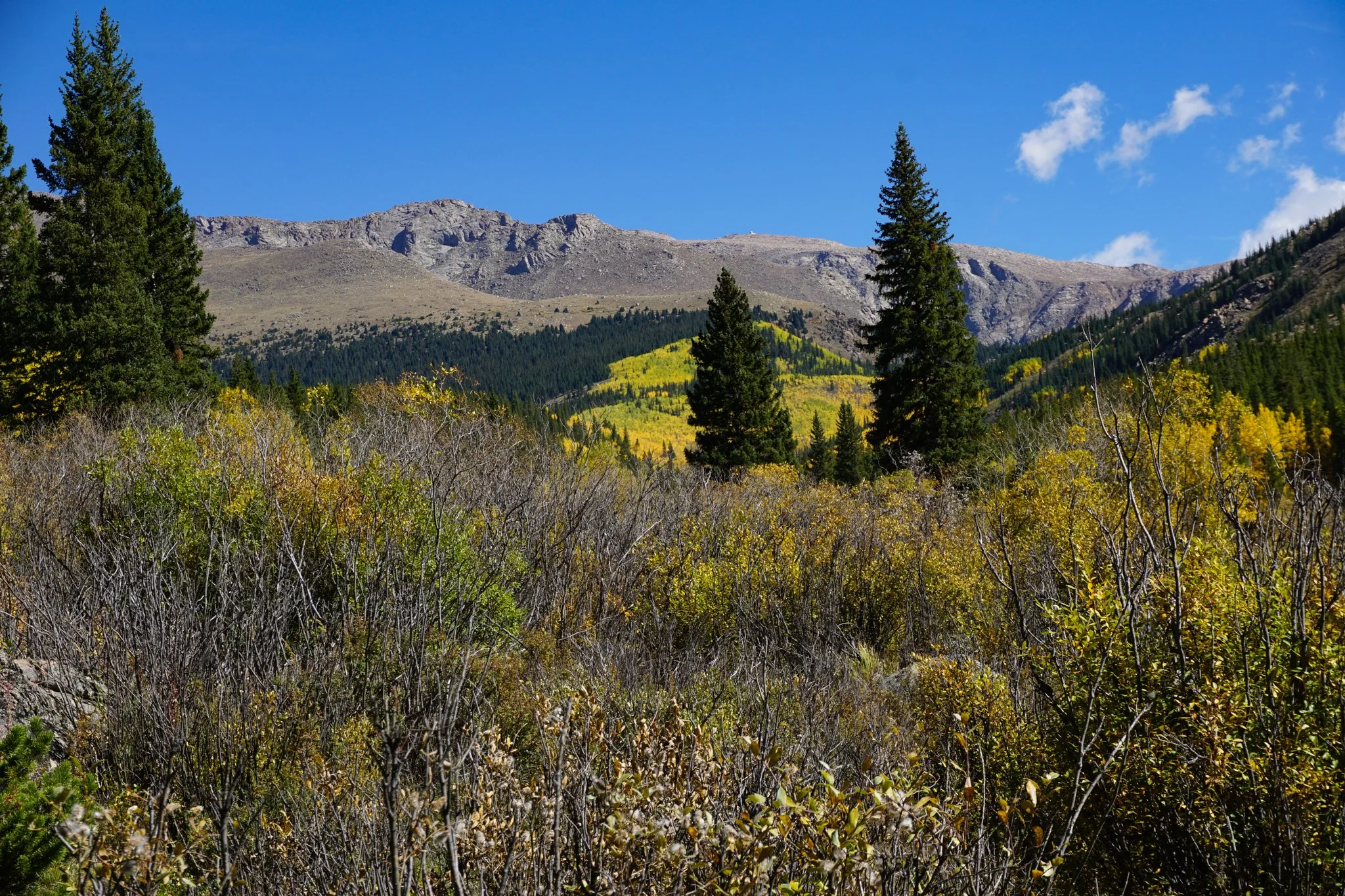 AbyssTrailDSC04779-2.jpg