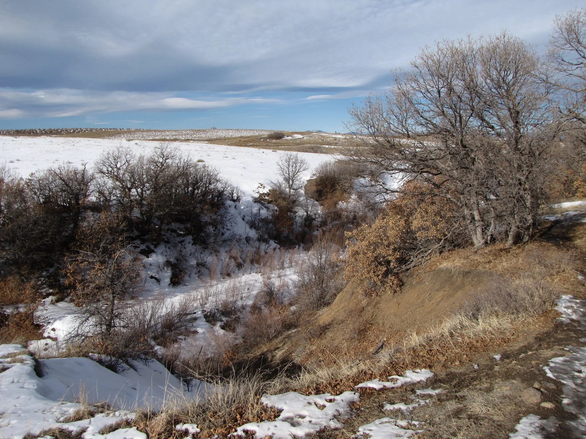 Glendale FarmIMG_7857-X4.jpg