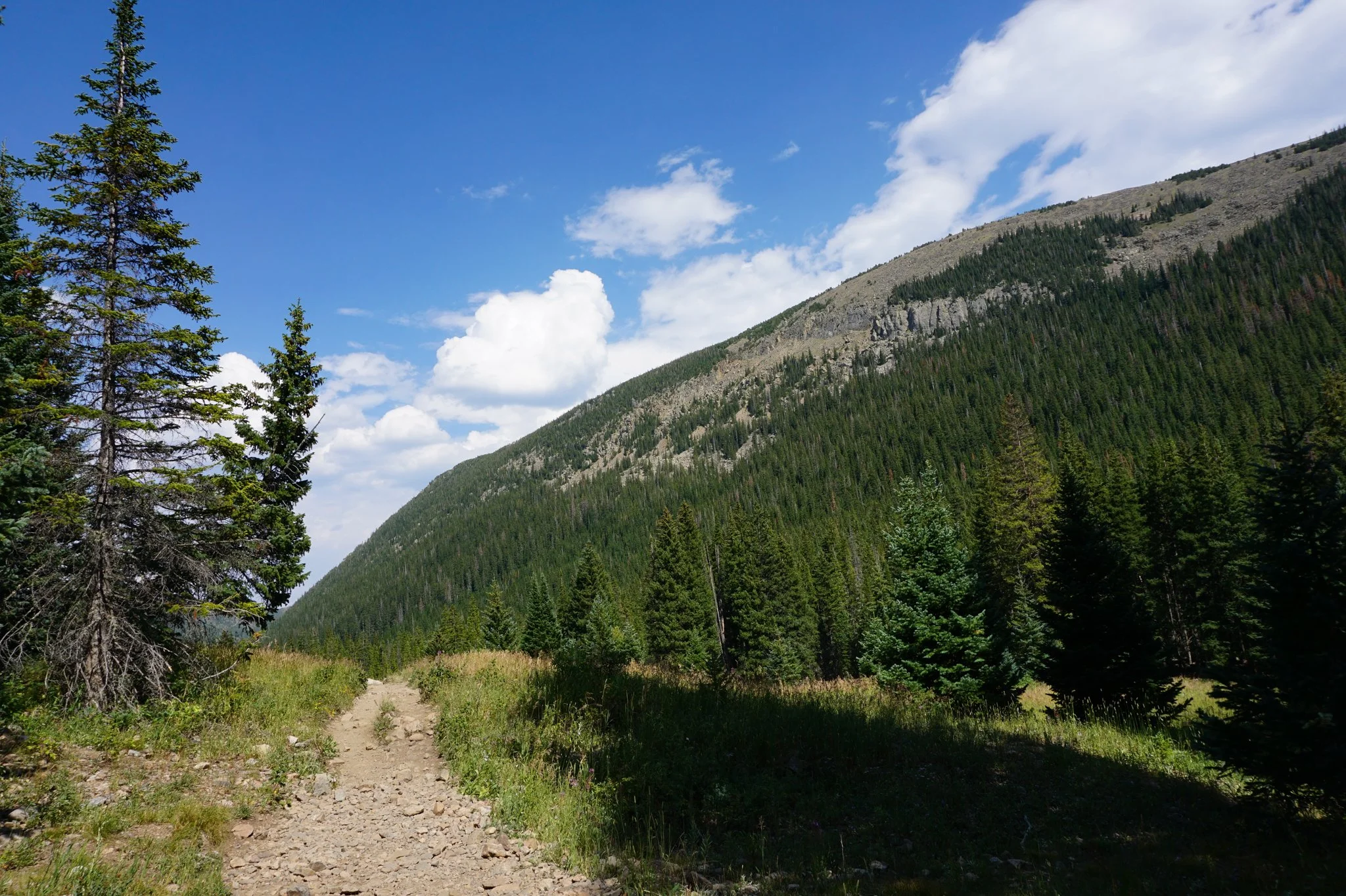 HeartLakeDSC04125-2.jpg