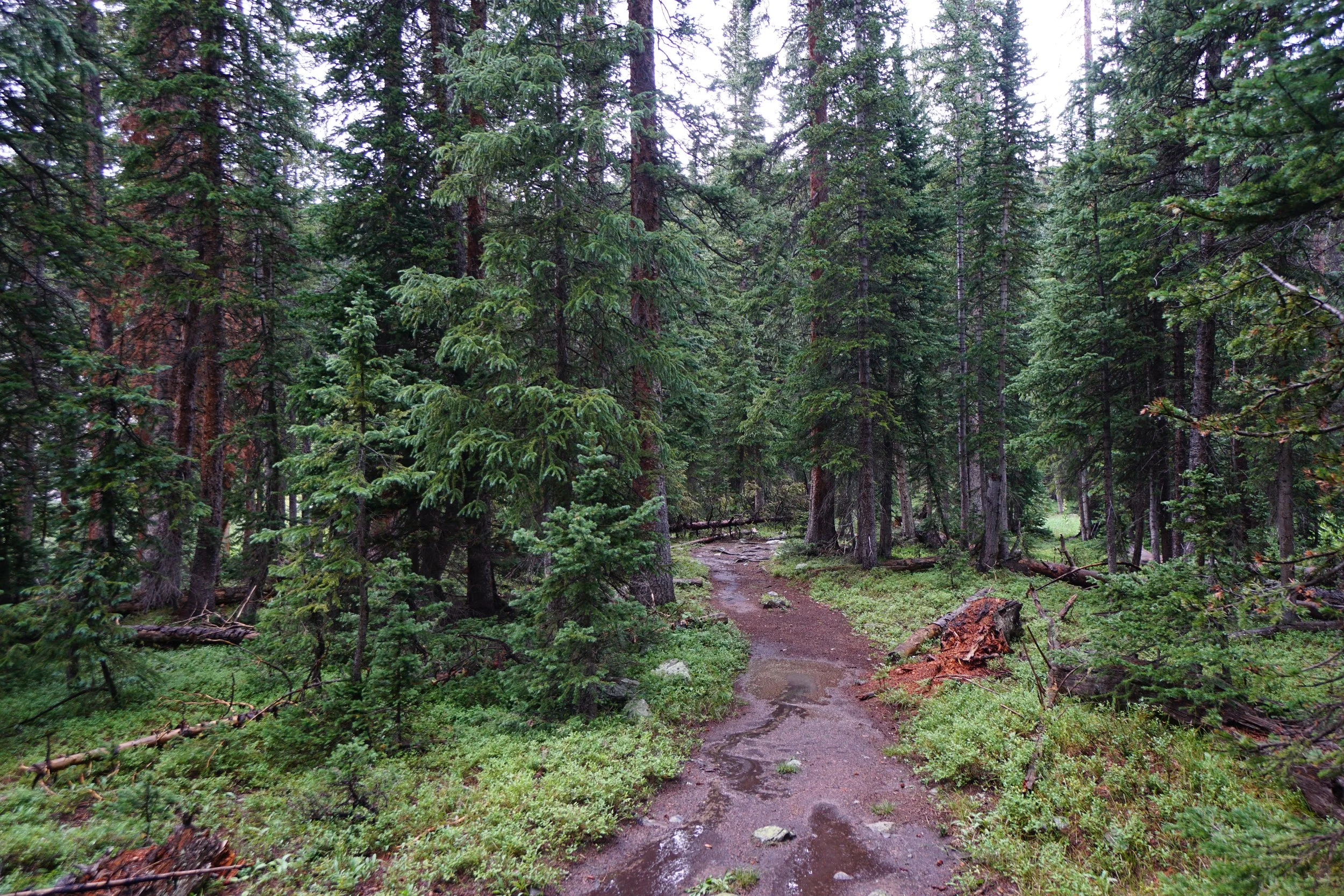 LamphierLakesDSC03726.JPG