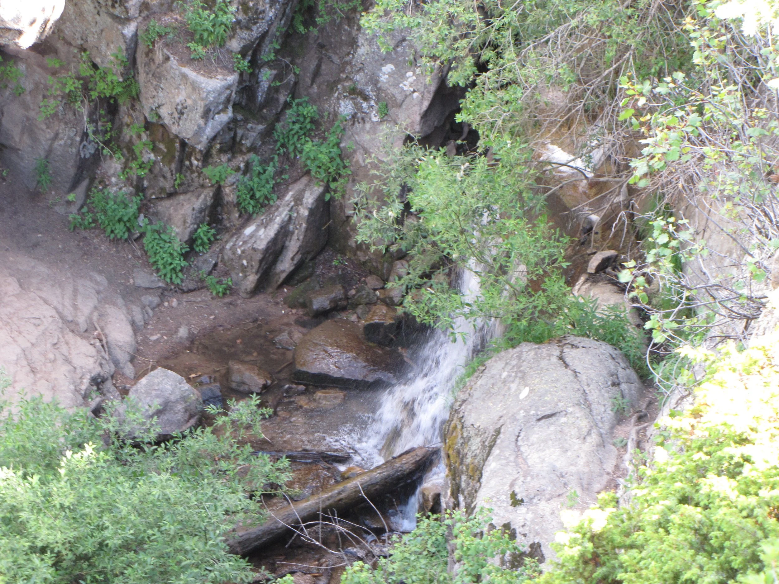 MaxwellFallsIMG_0403.jpg