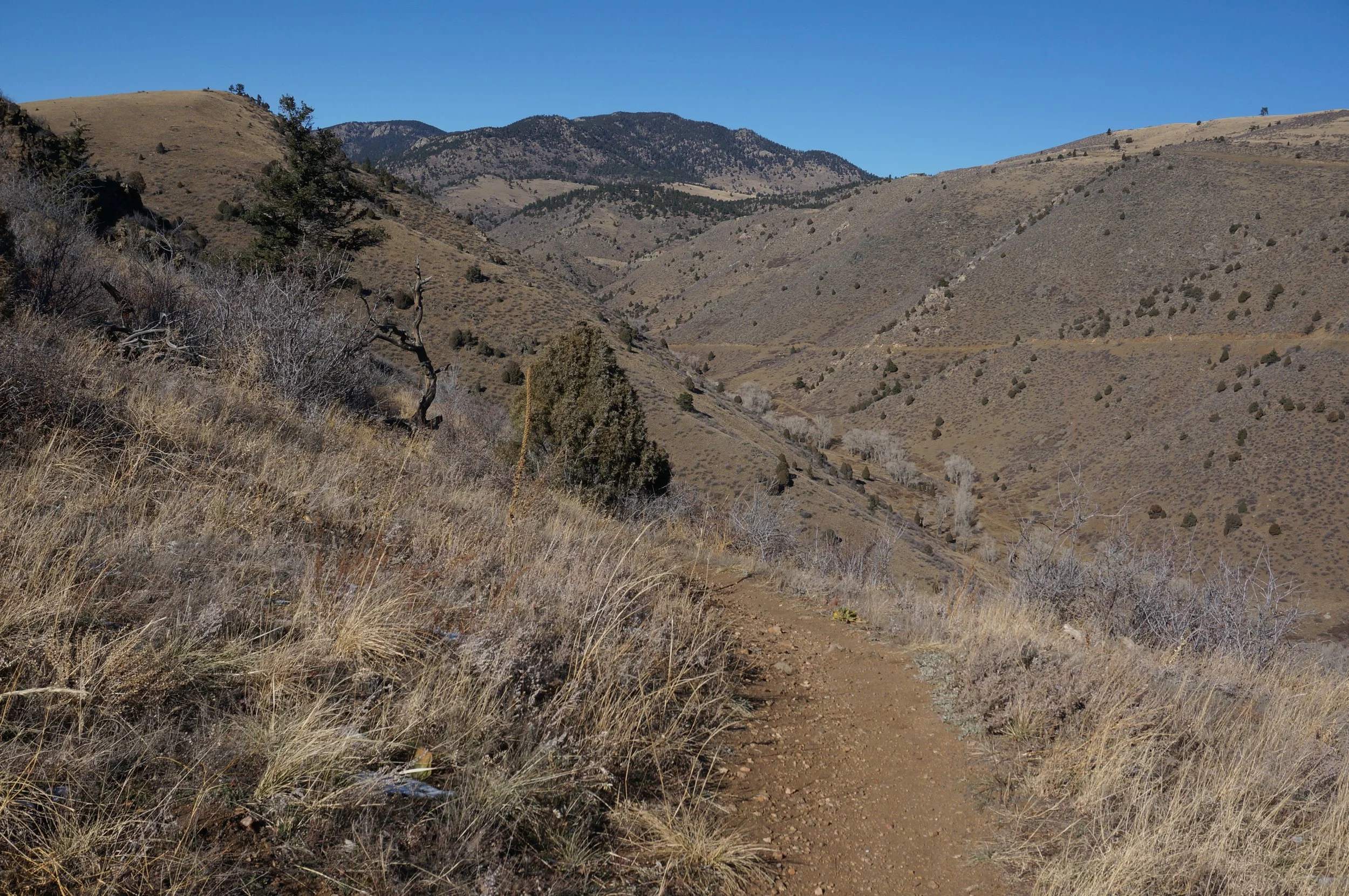 TravoisEveningDSC07149.jpg