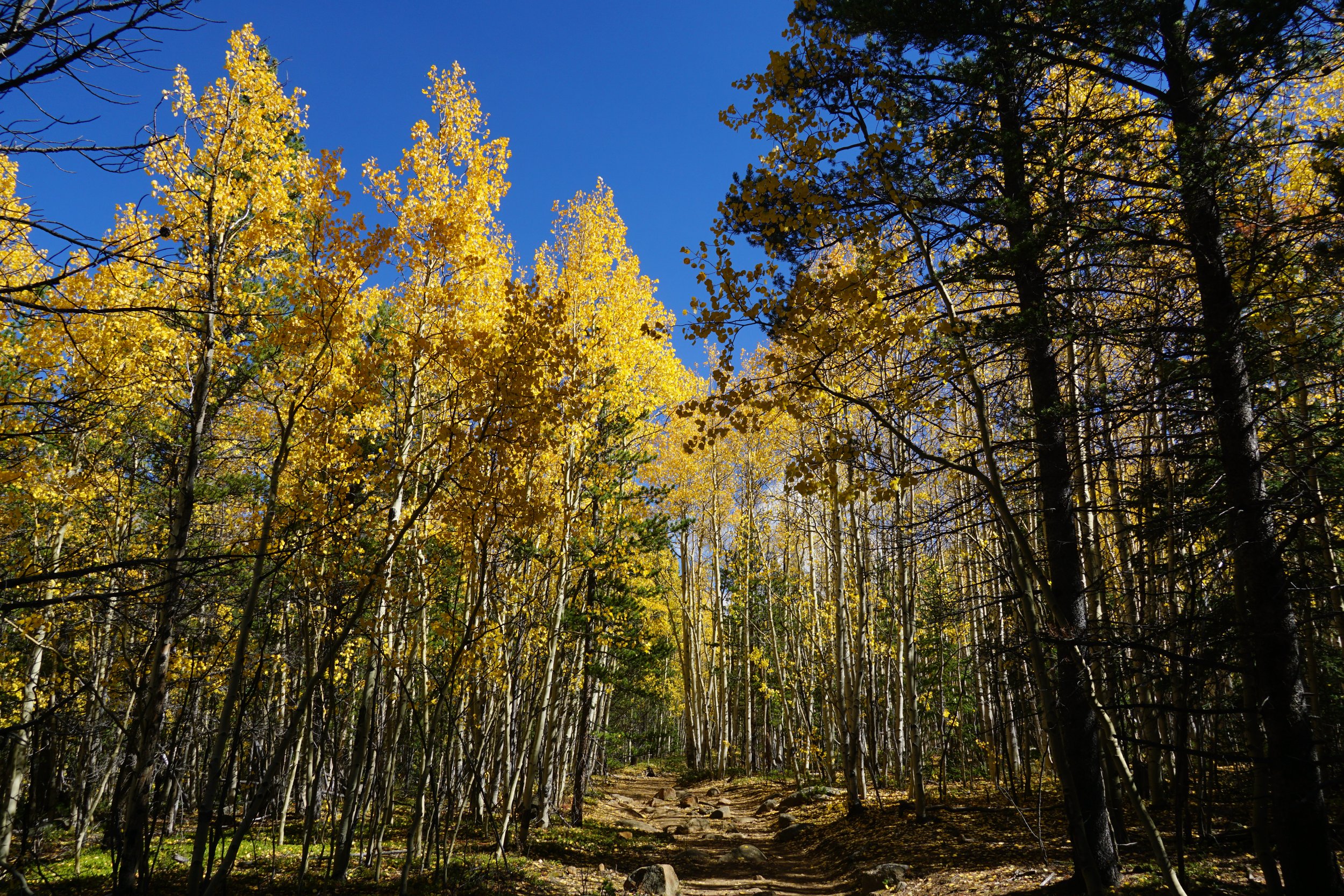 AbyssTrailDSC04838.JPG