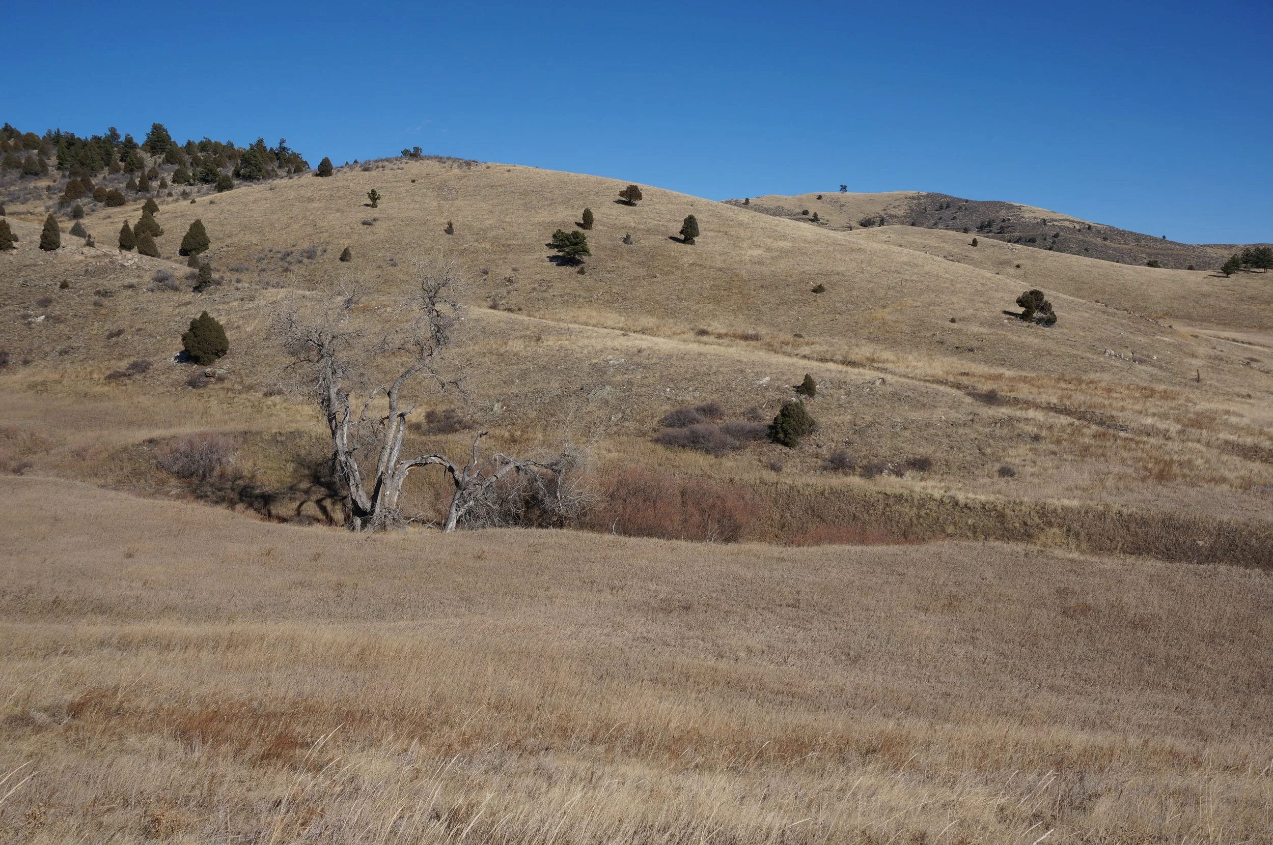 TravoisEveningDSC07128.jpg