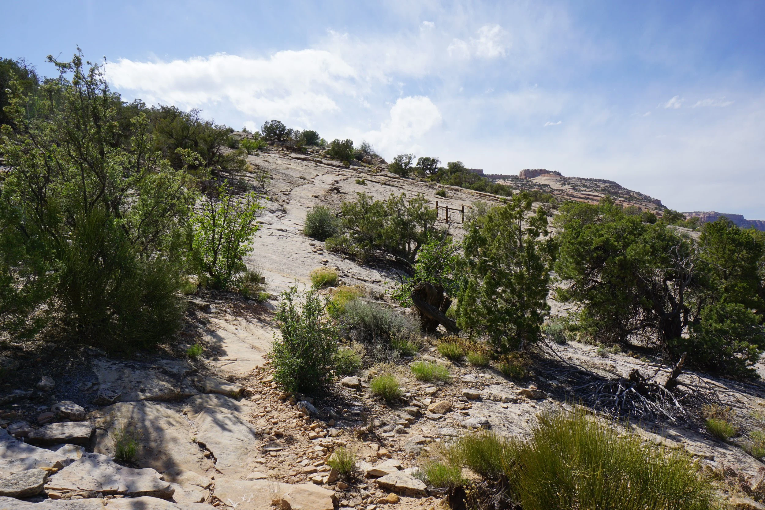 EchoCanyonCOLMDSC06280.JPG