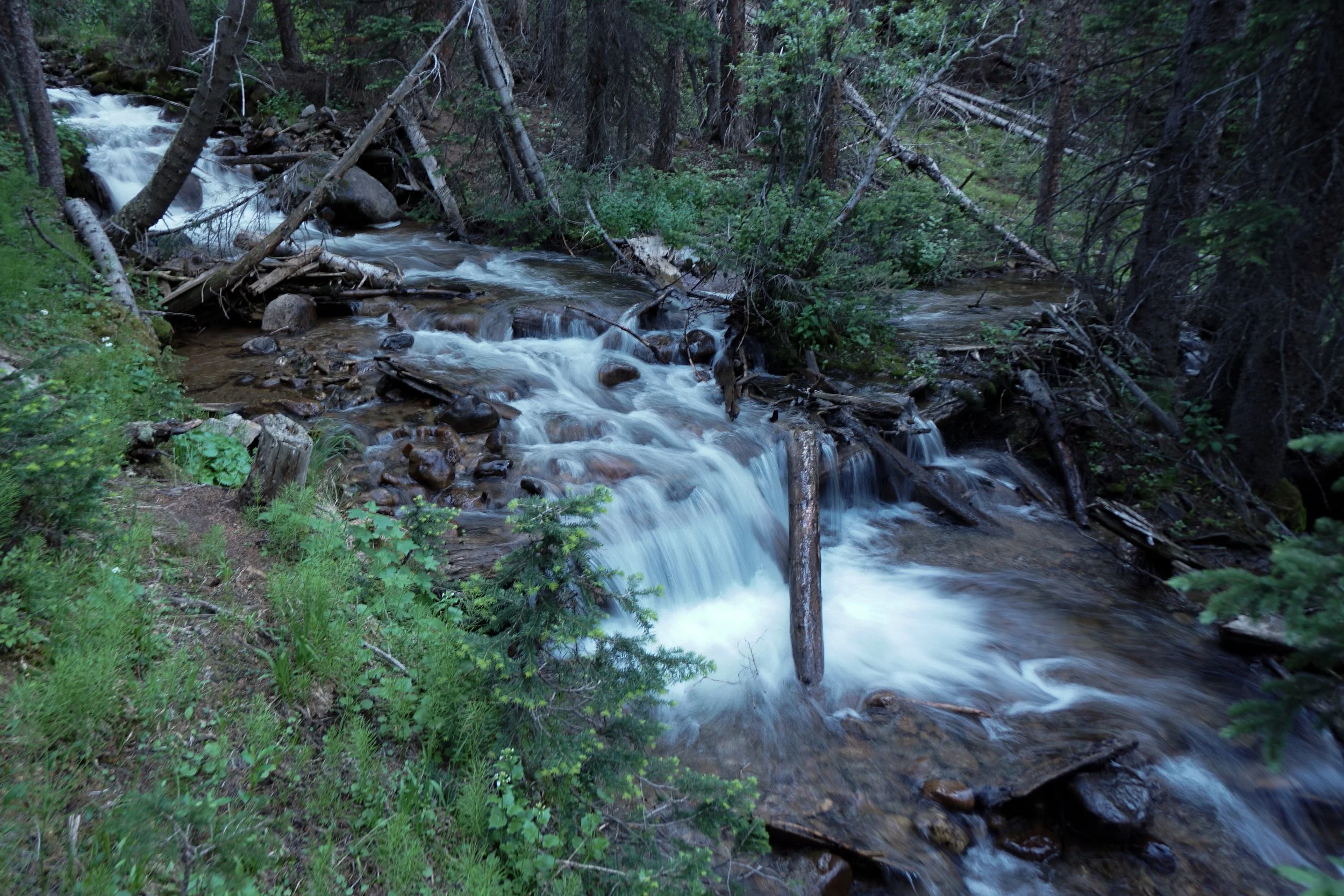 KearneyGulchDSC08393-2.jpg
