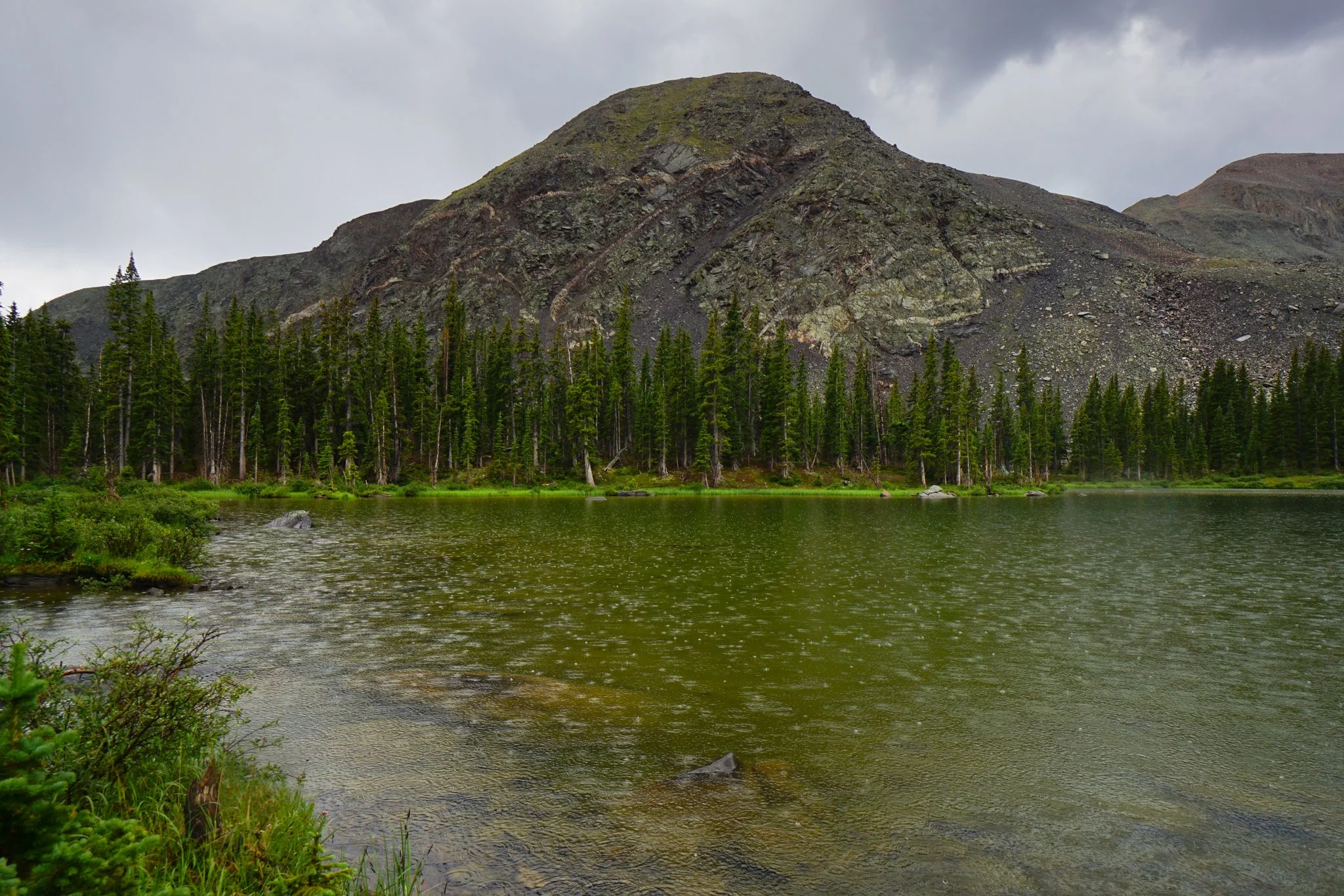 LamphierLakesDSC03754-2.jpg