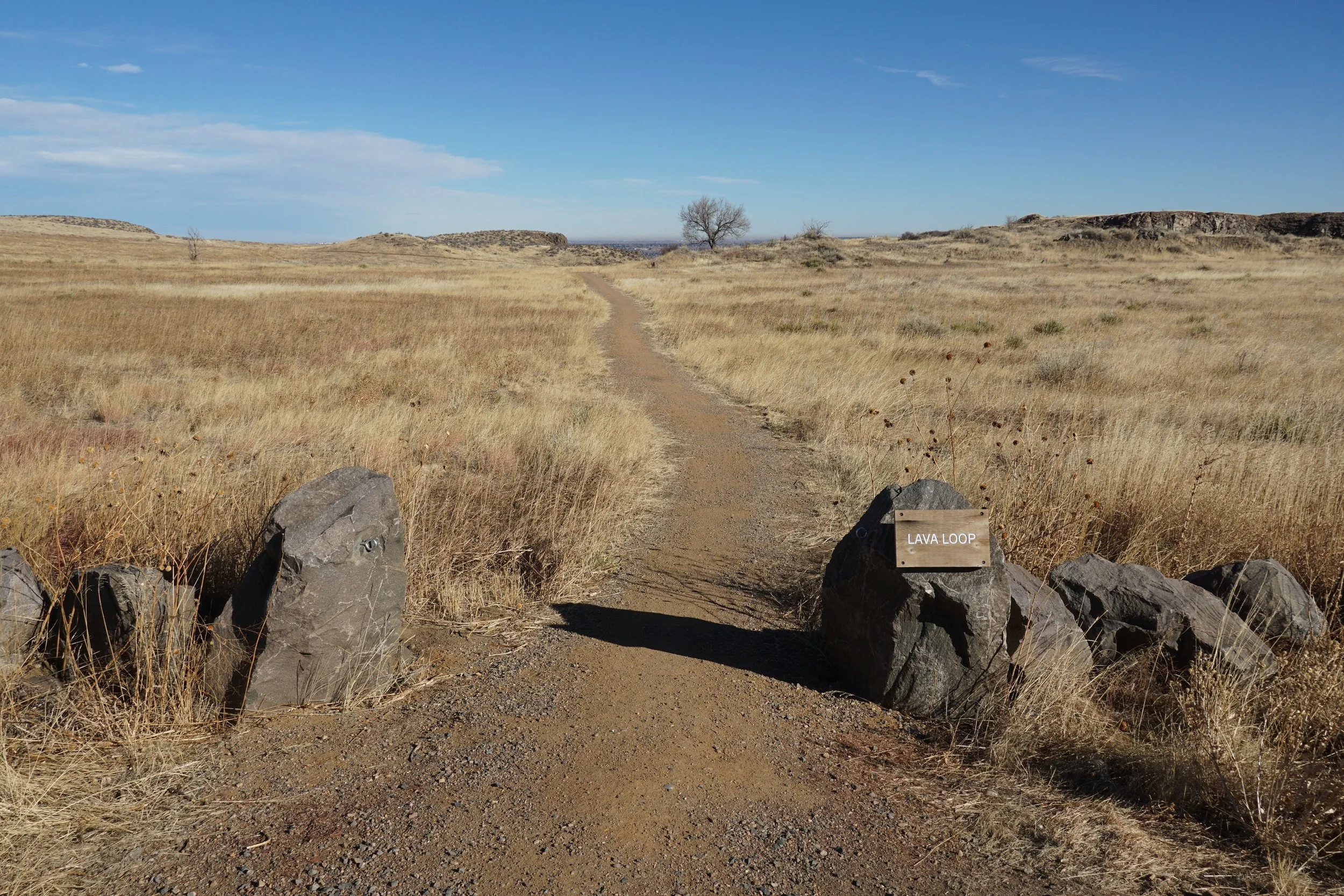 LavaLoopDSC09814-X5.jpg