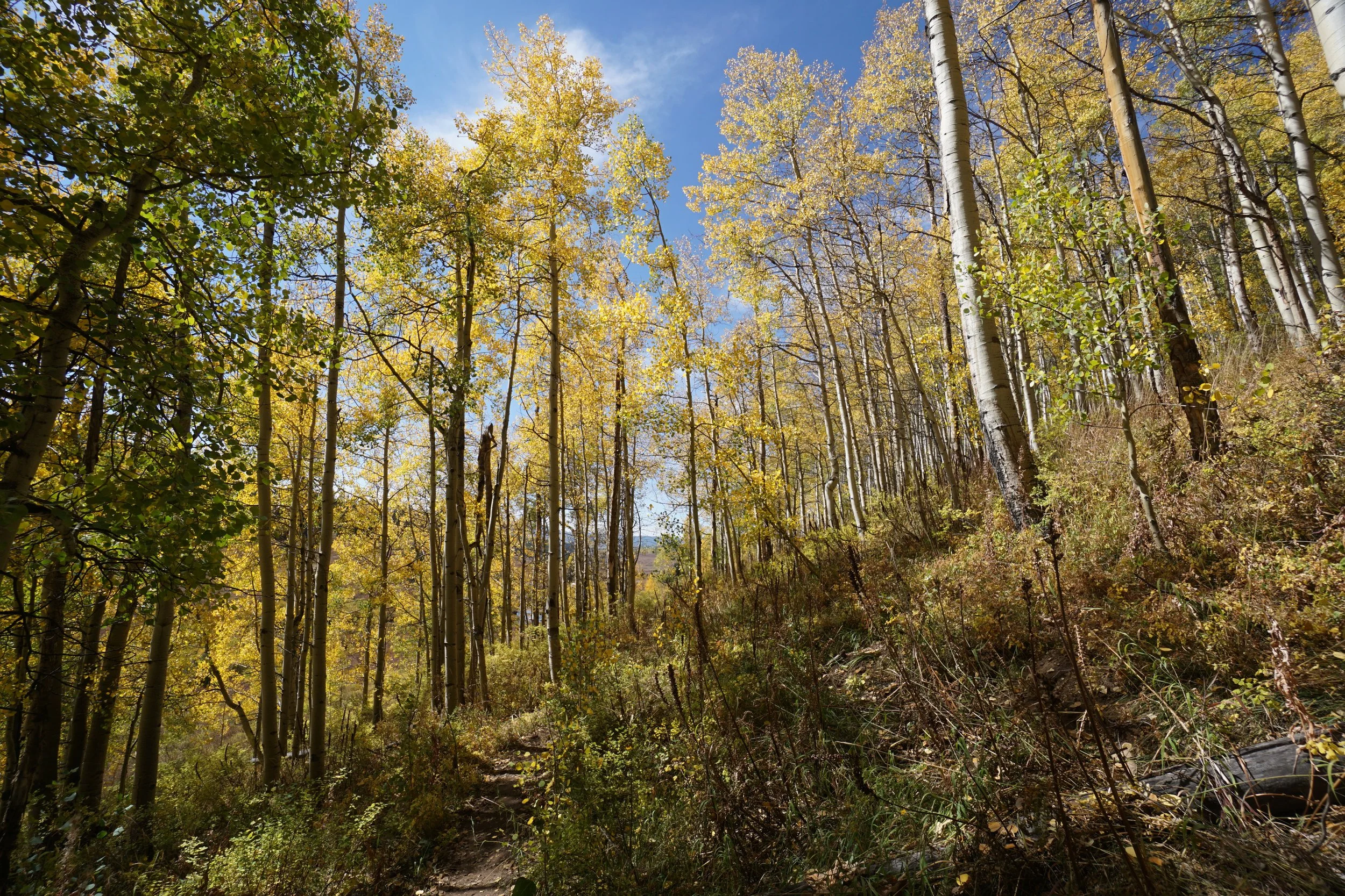 Eagle LakeDSC07002.JPG