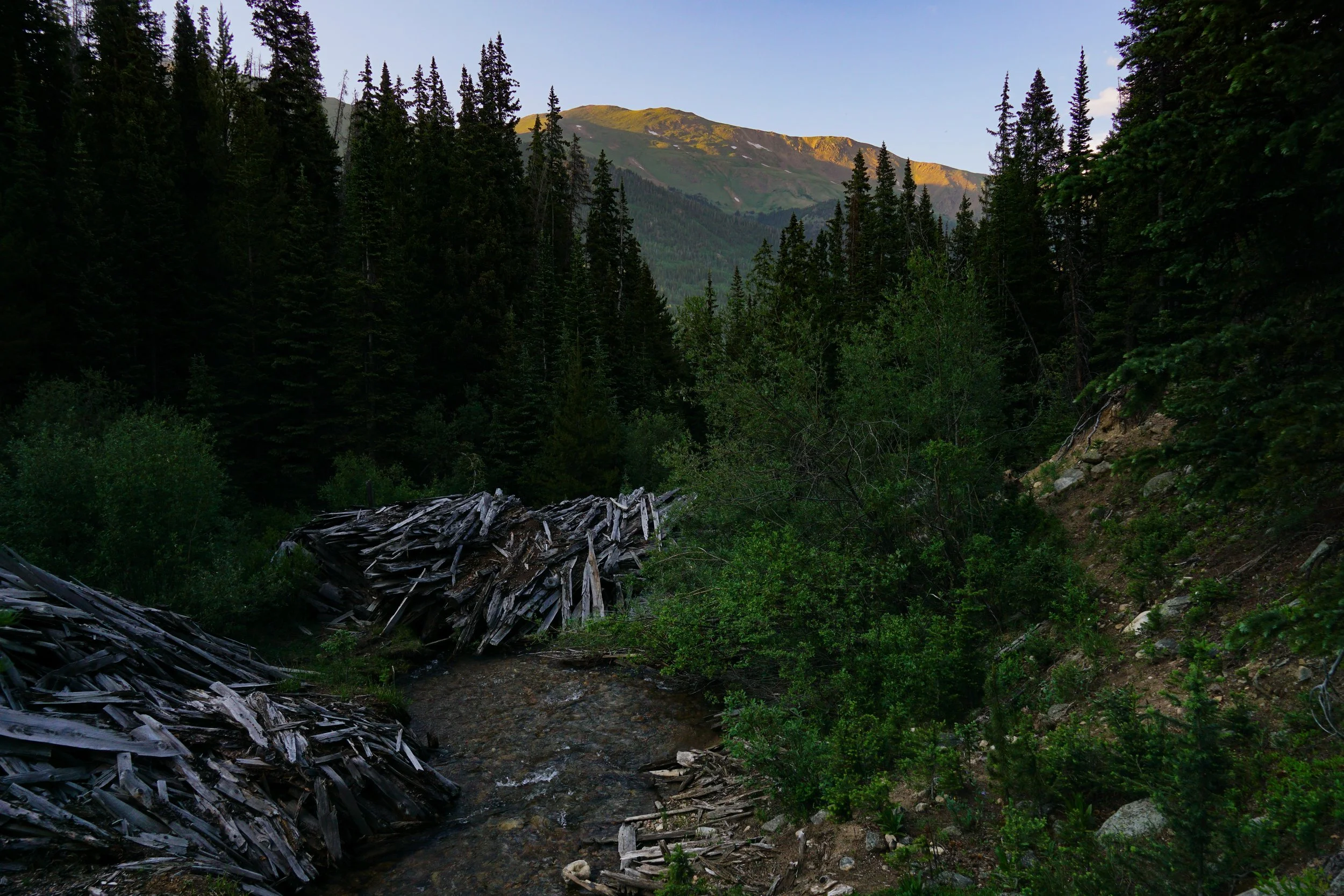 KearneyGulchDSC08434-2.jpg