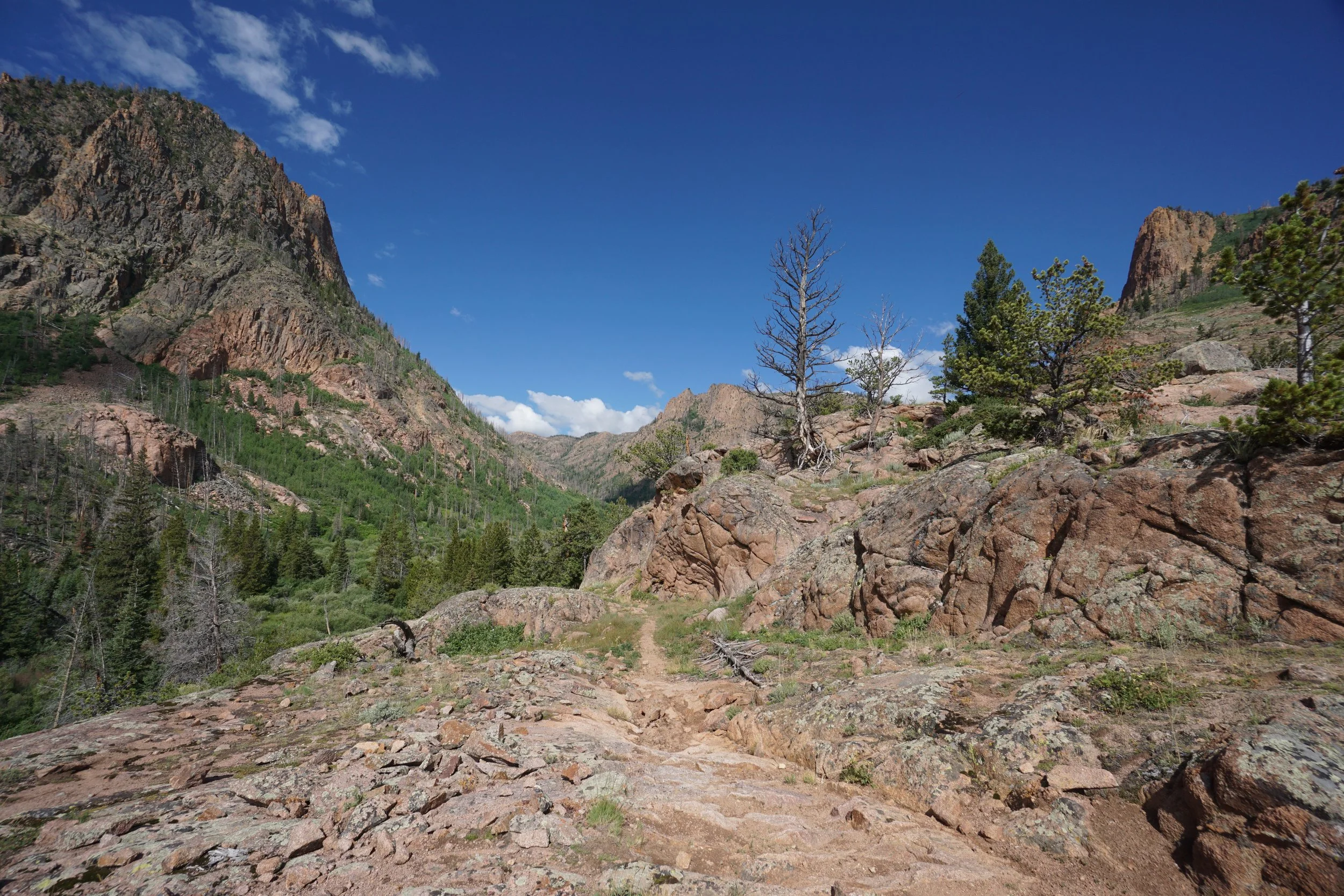 RedCanyonDSC04116.JPG