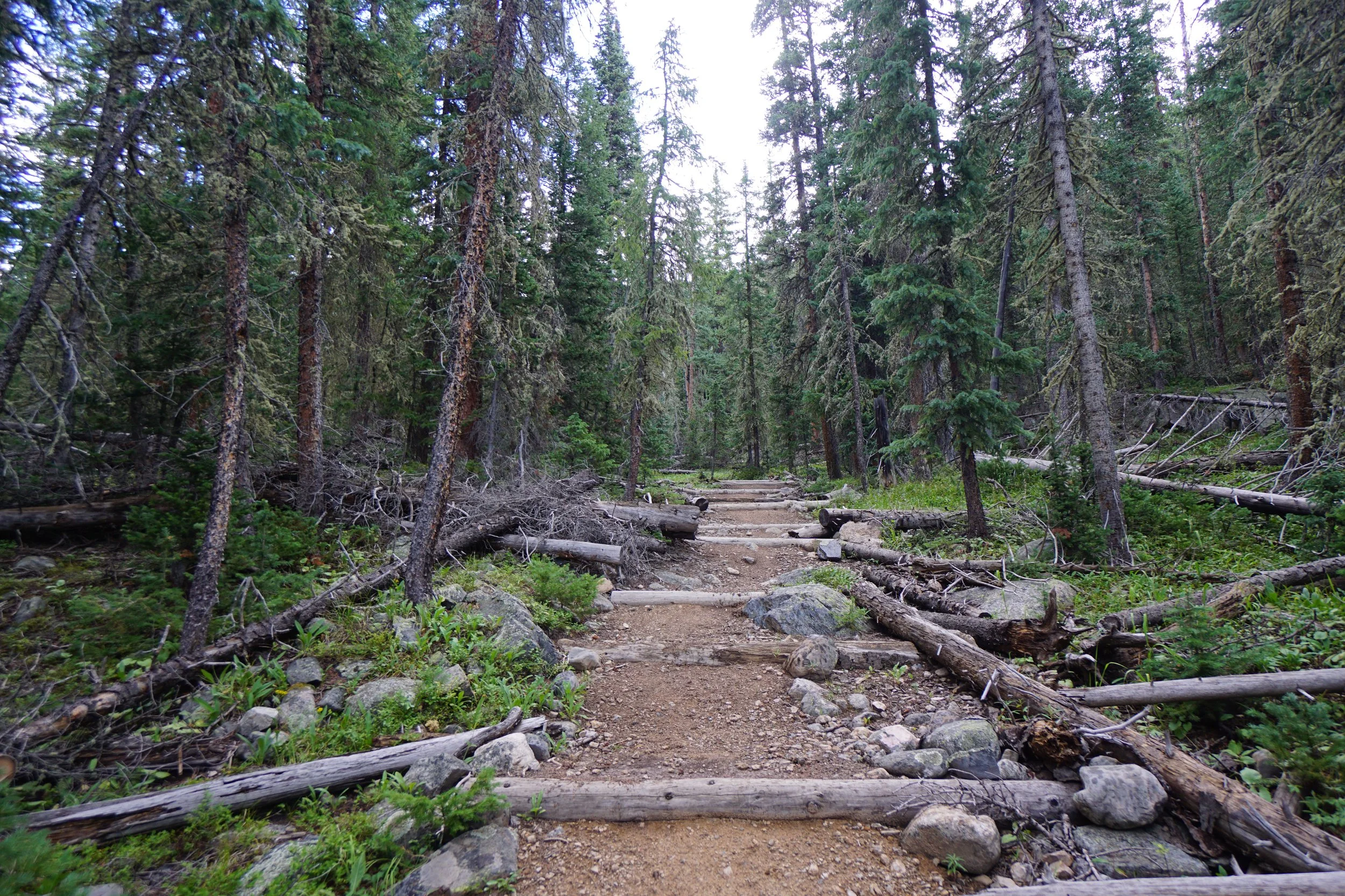 LamphierLakesDSC03698.JPG