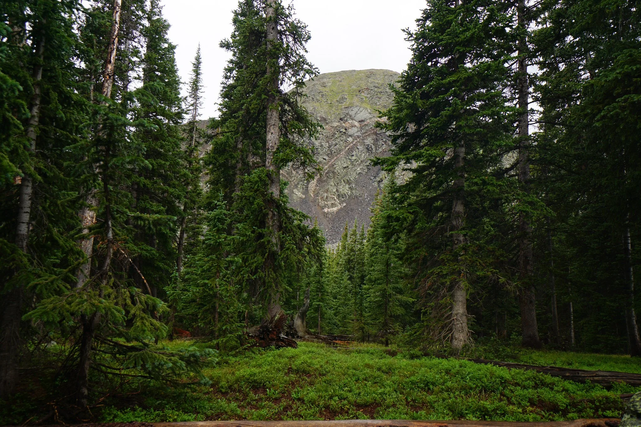 LamphierLakesDSC03744-2.jpg