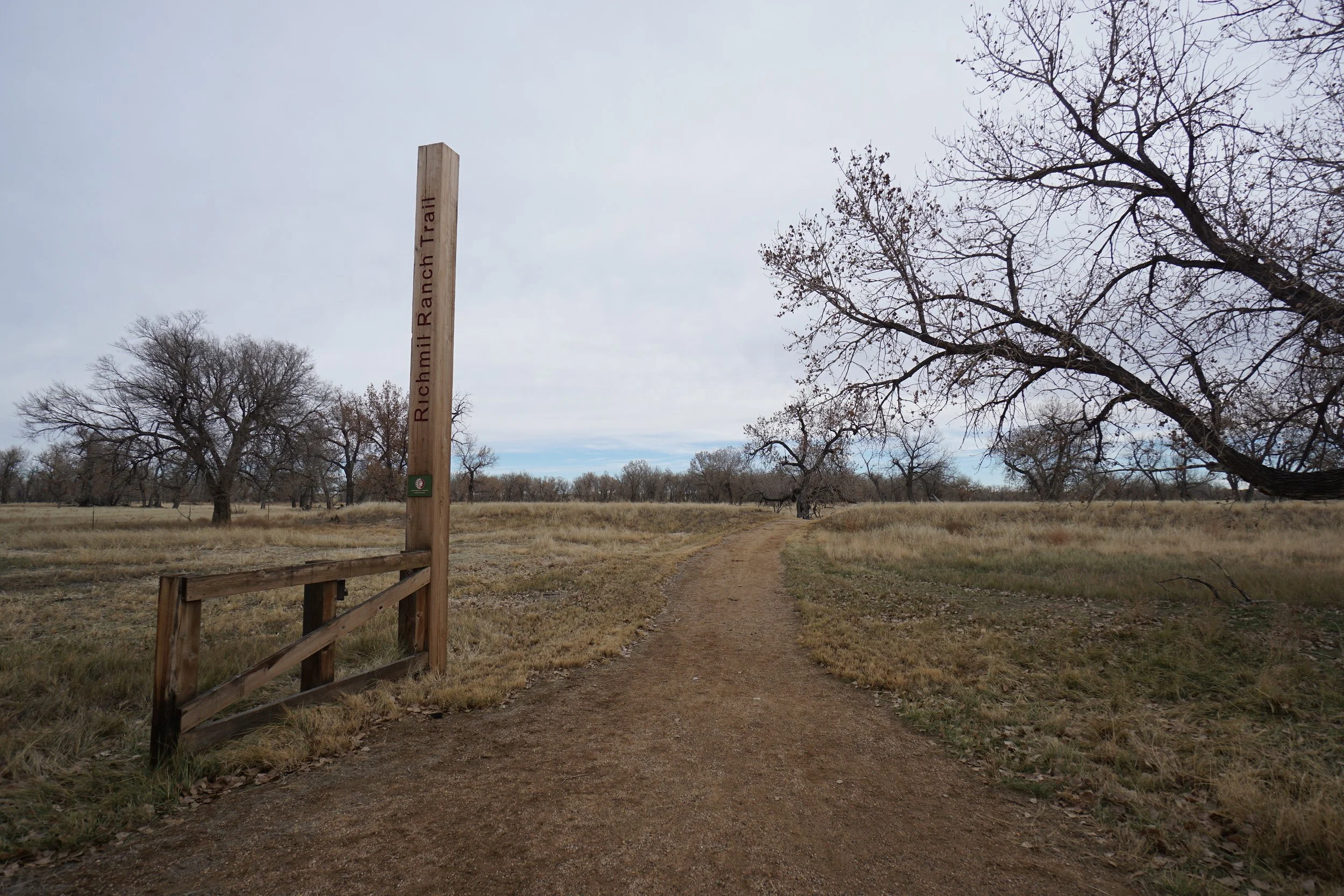 RichmilRanchDSC00420-X5.jpg