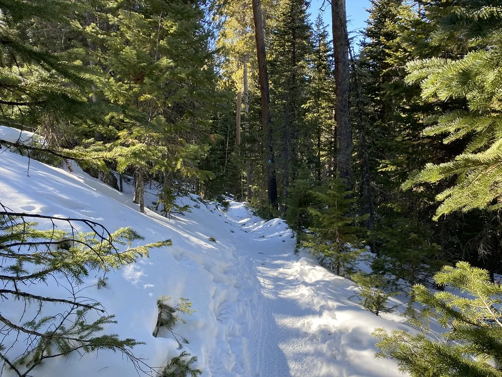 2021013116565661--6189079908441106019-IMG_0421_HEIC-XL.jpg