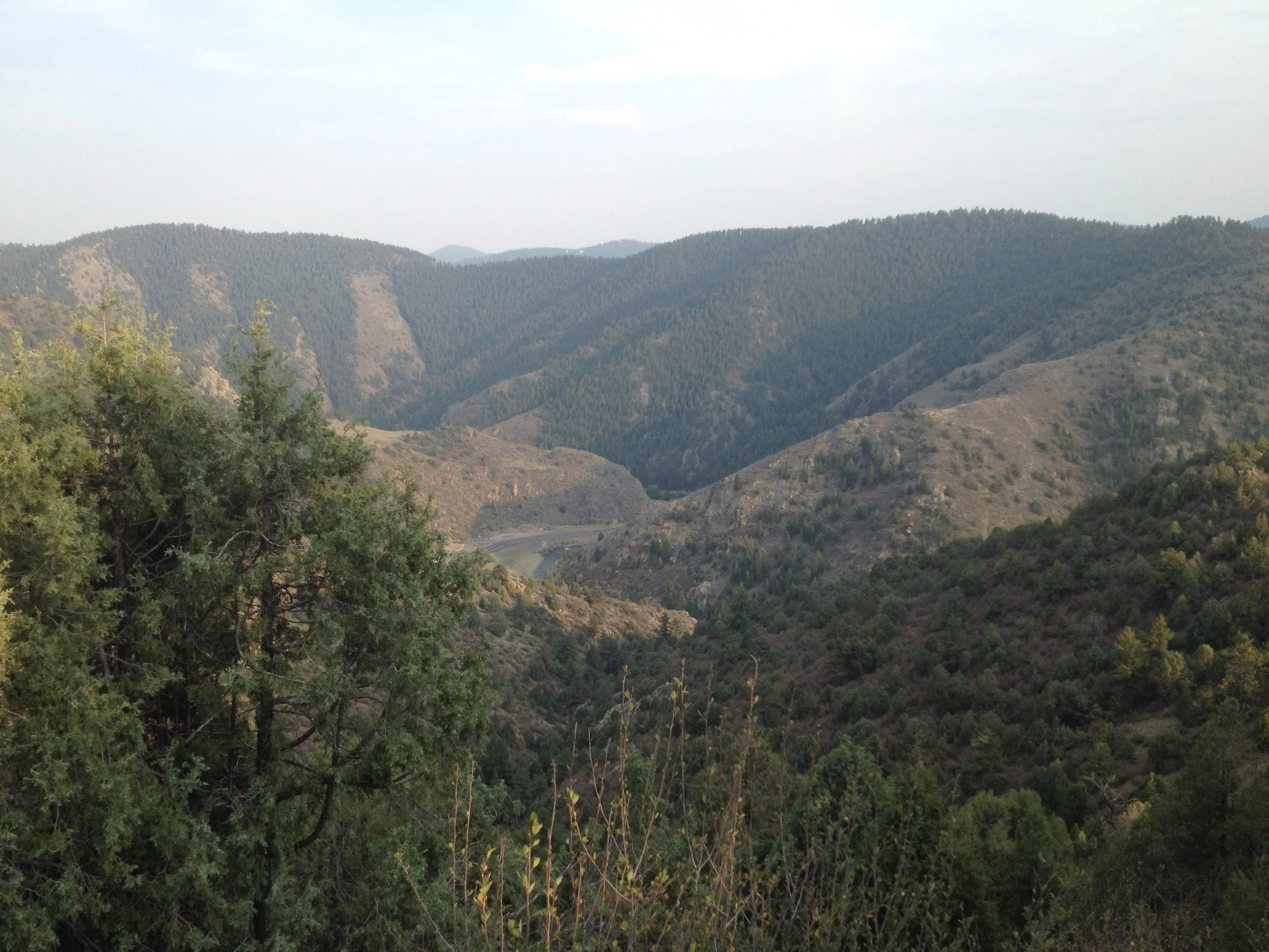 MayhemIMG_3316.jpg