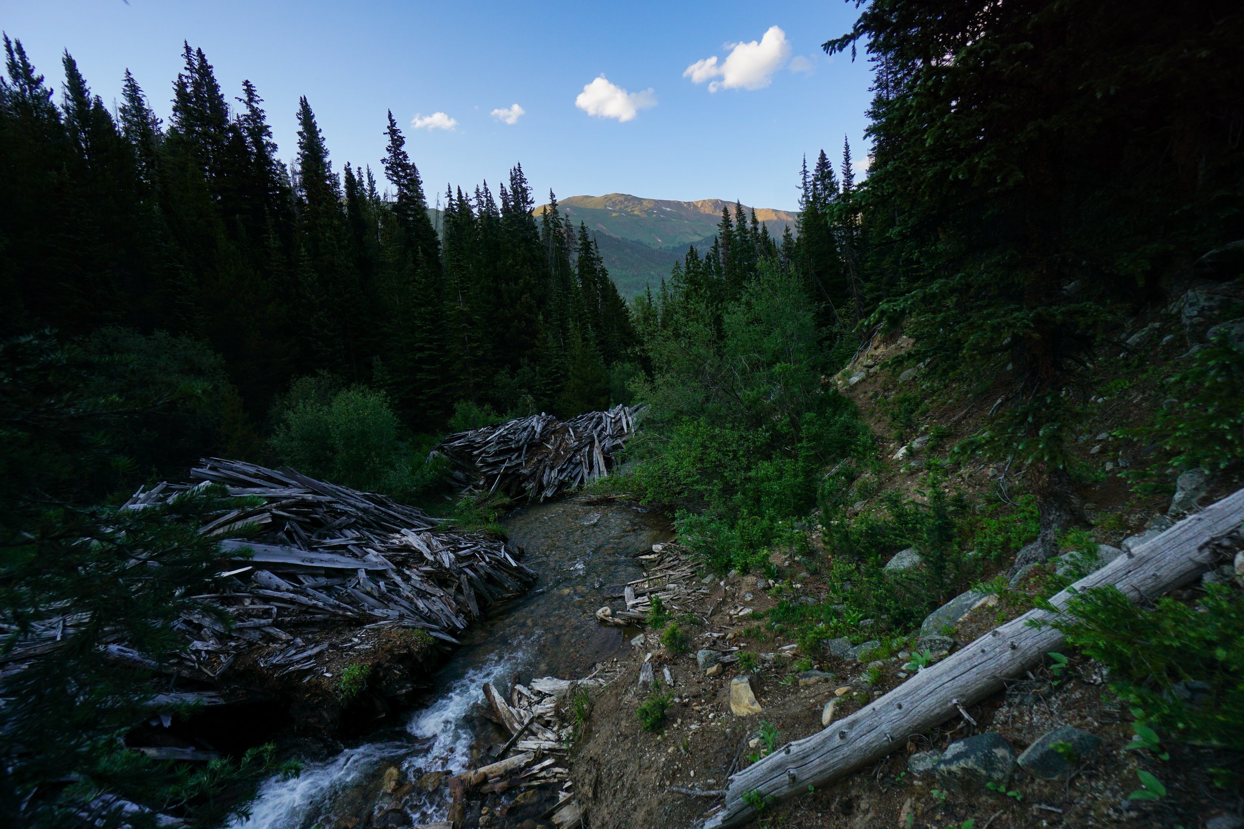 KearneyGulchDSC08435-2.jpg