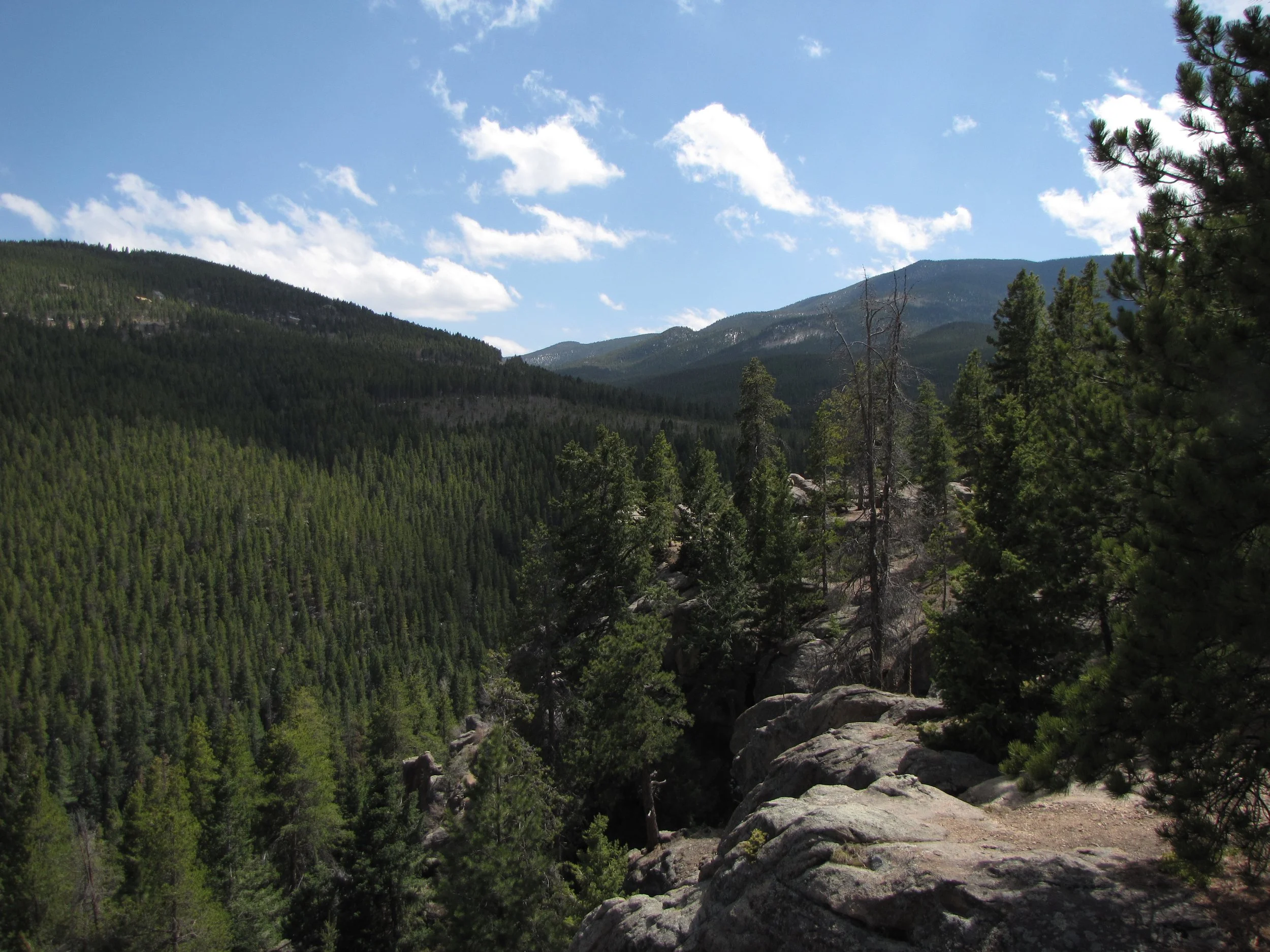 MaxwellFallsIMG_8039.jpg