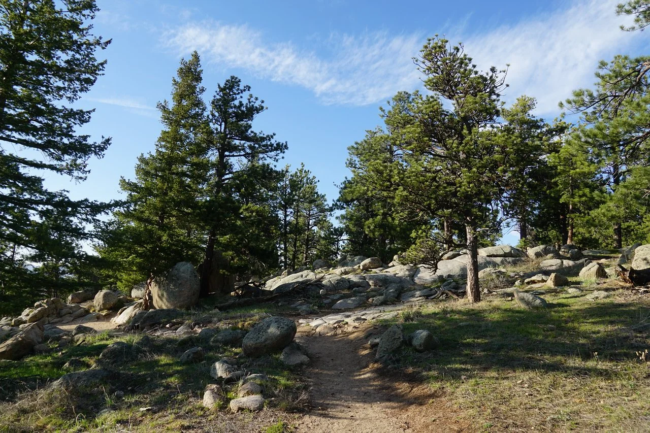 RangeViewOSMPDSC03638-X2.jpg