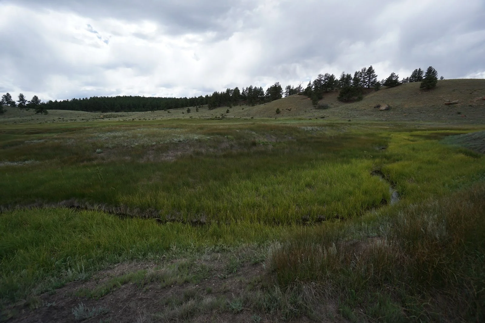 DSC06334-X3.jpg