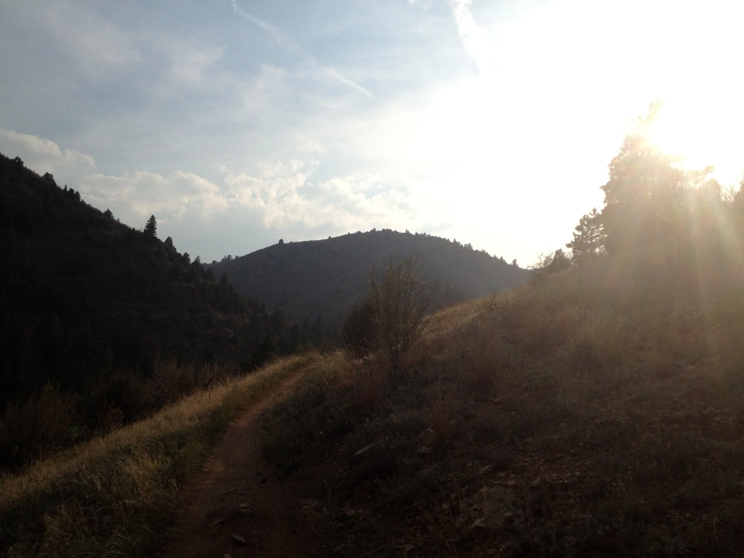MayhemIMG_3300.jpg
