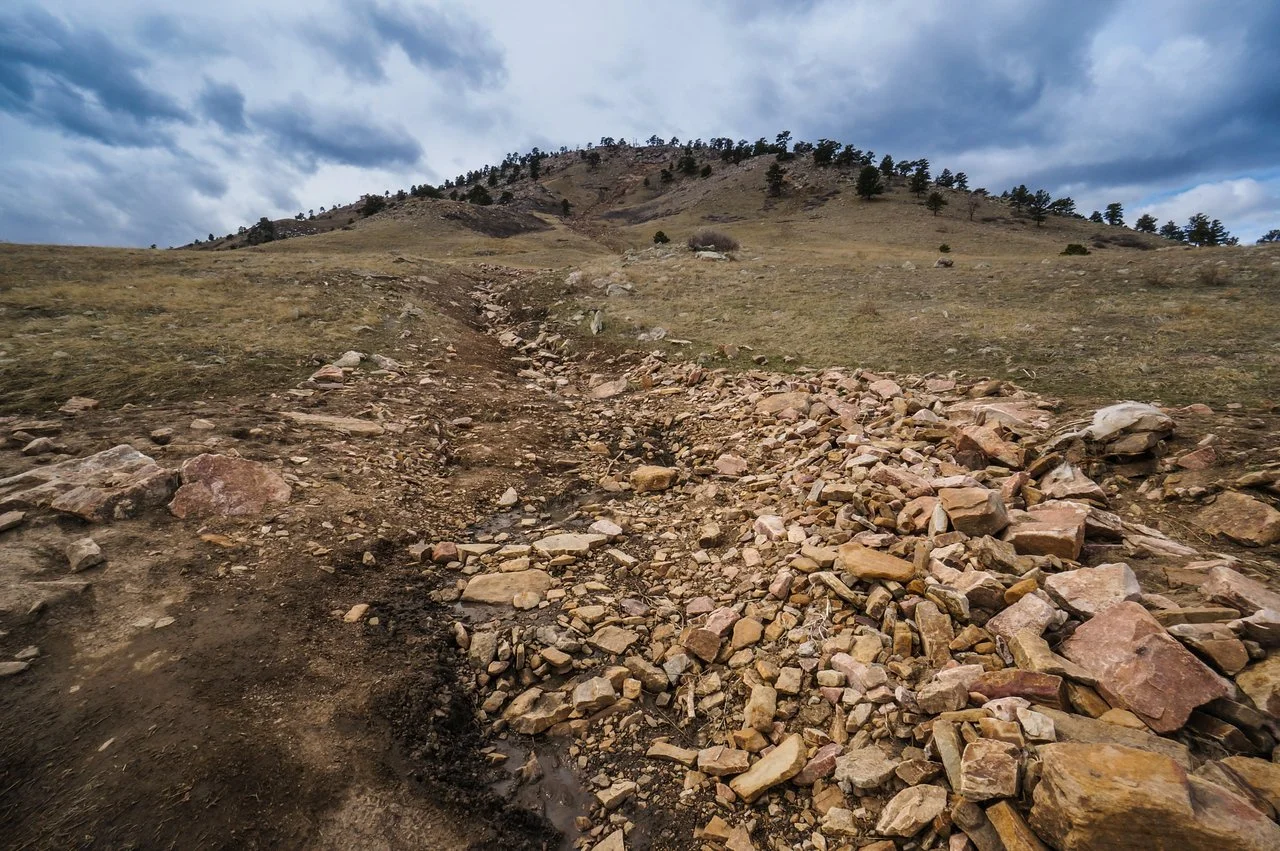 DSC08669-1 copy-X2.jpg