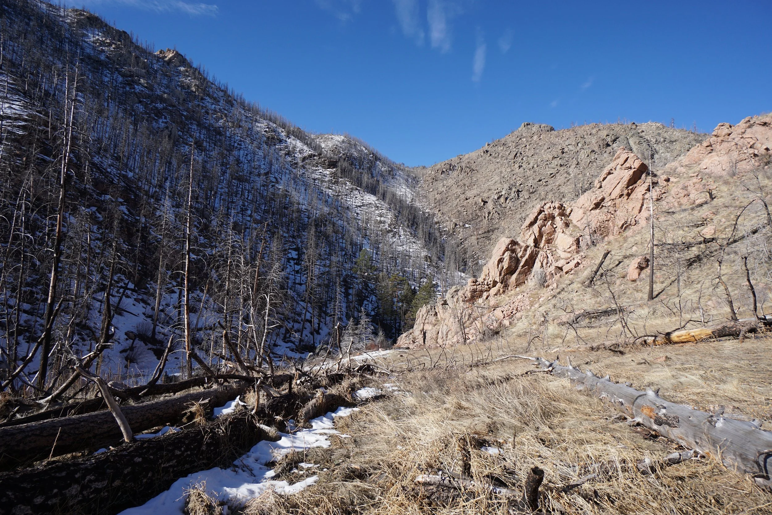 YoungGulchDSC00000-92-X5.jpg