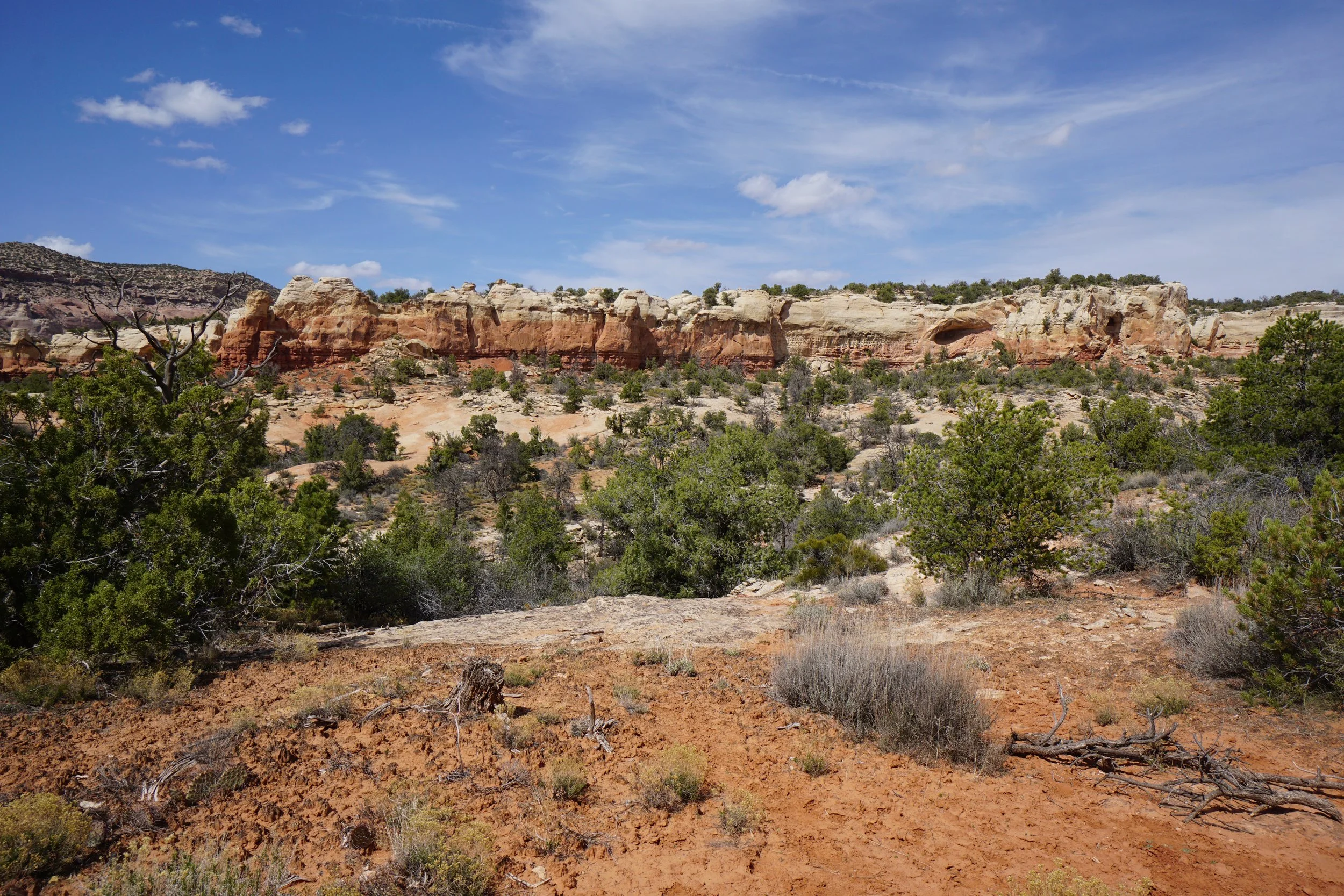 SandCanyonDSC03434.JPG