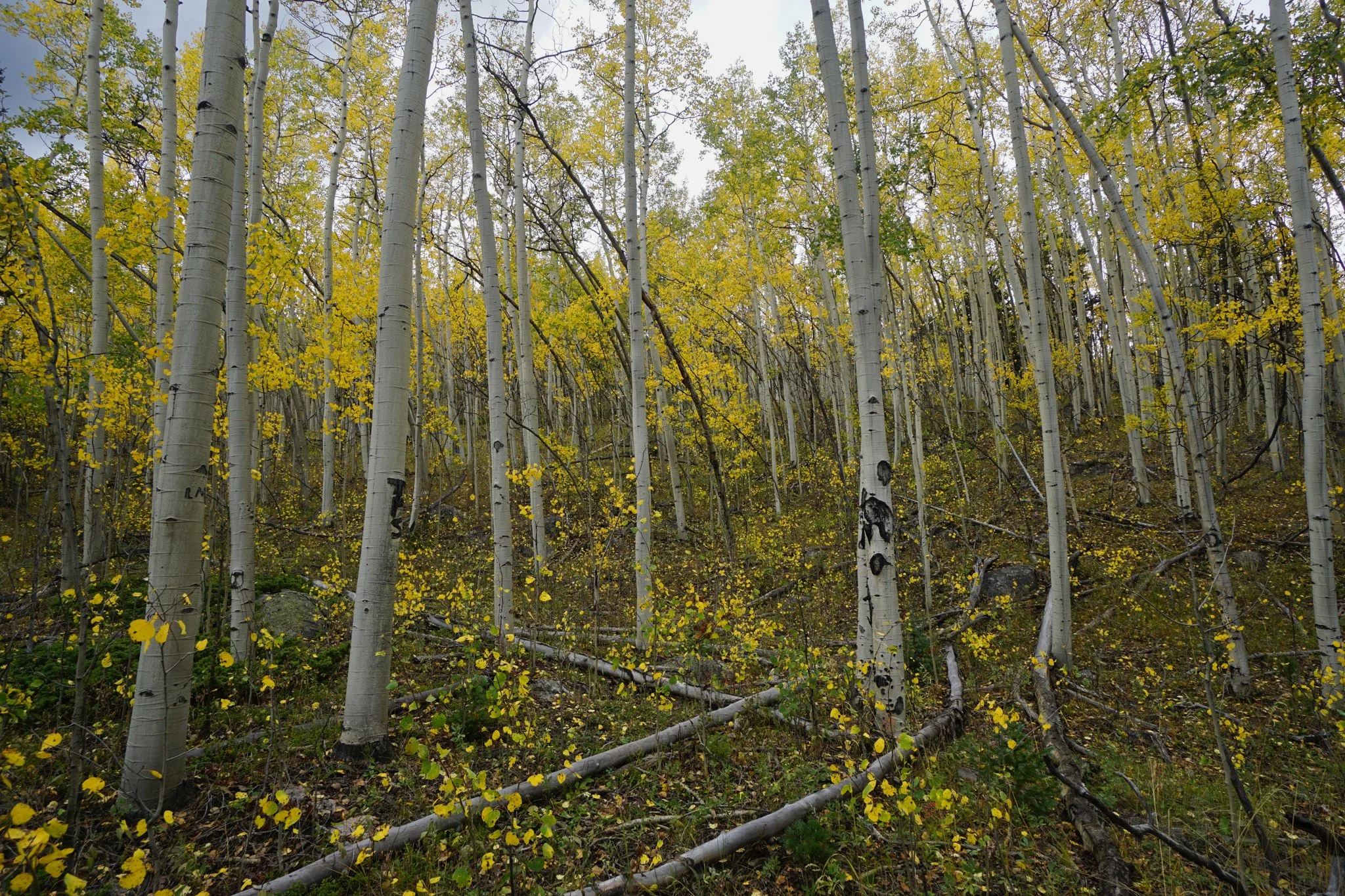 HellsHoleDSC04629-2.jpg