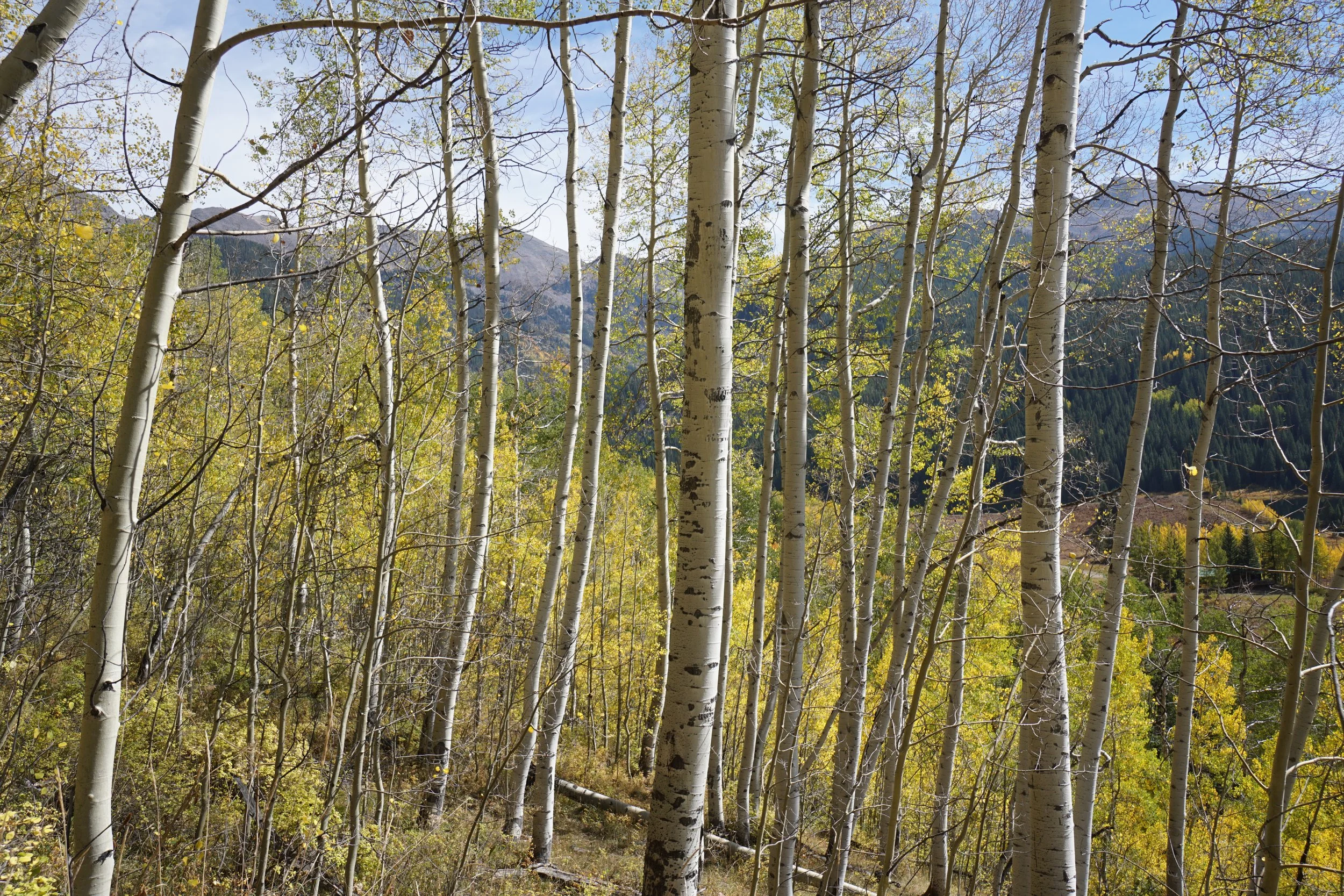 Eagle LakeDSC06987.JPG