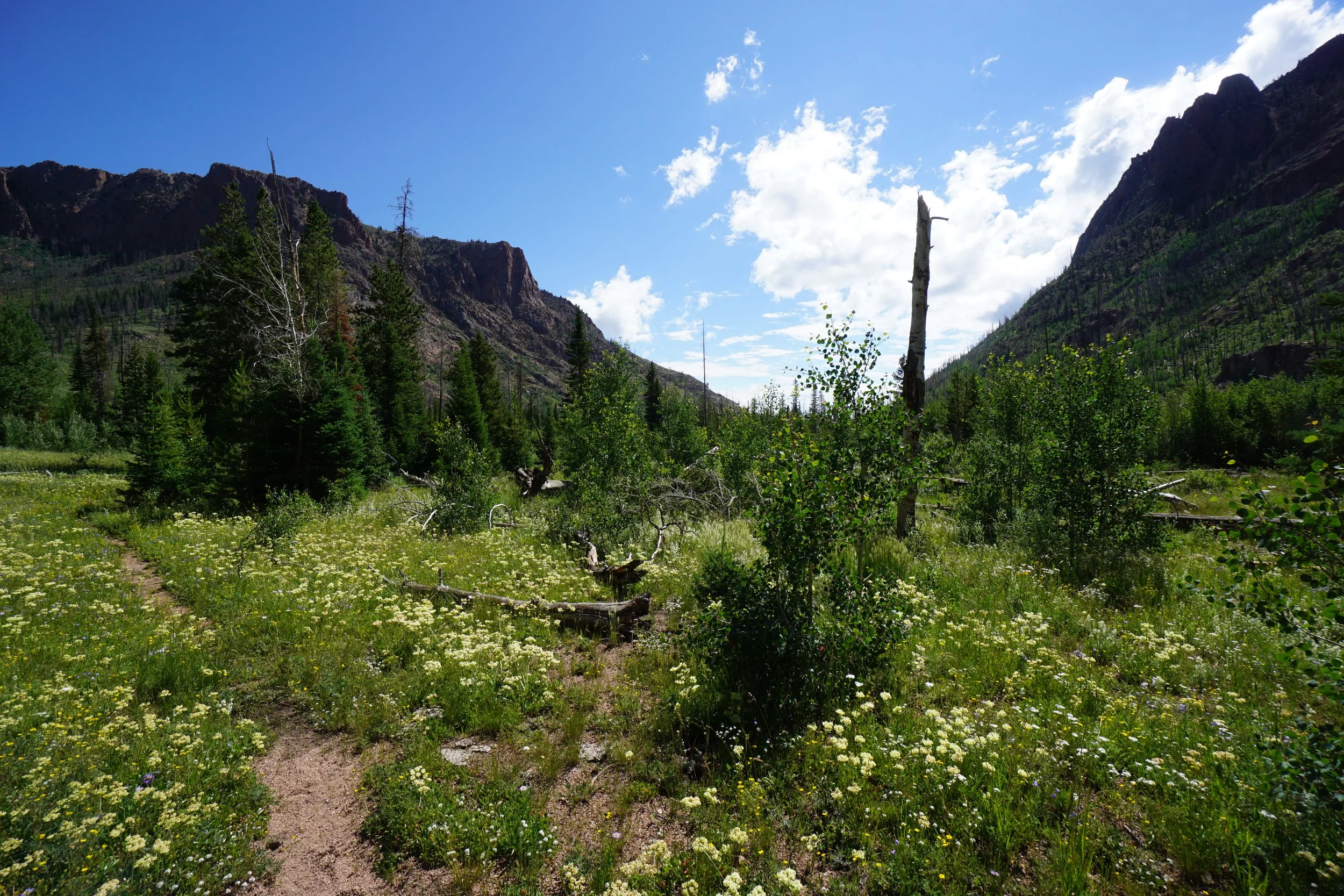 RedCanyonDSC04168.JPG