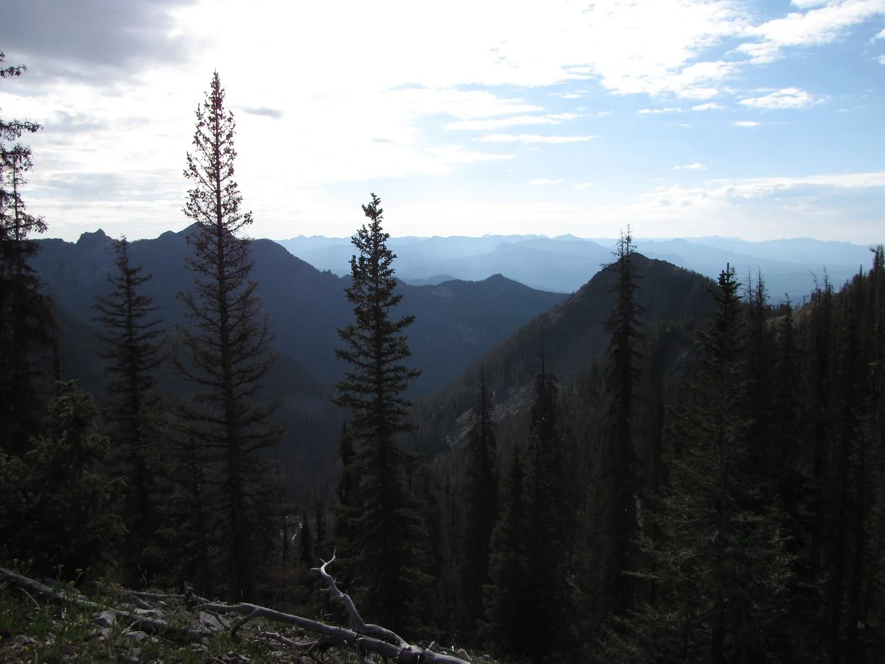 IMG_4012-X2.jpg