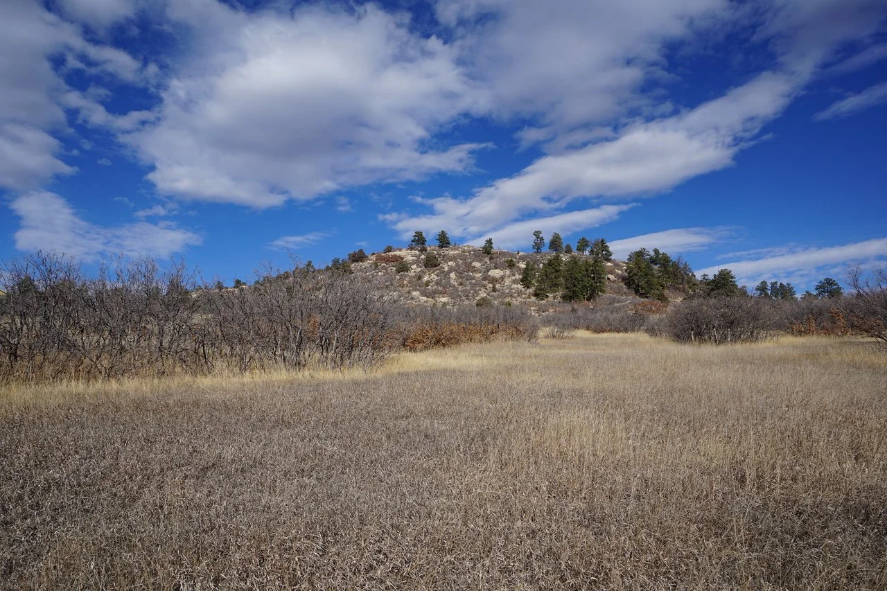 DSC01303-X2.jpg