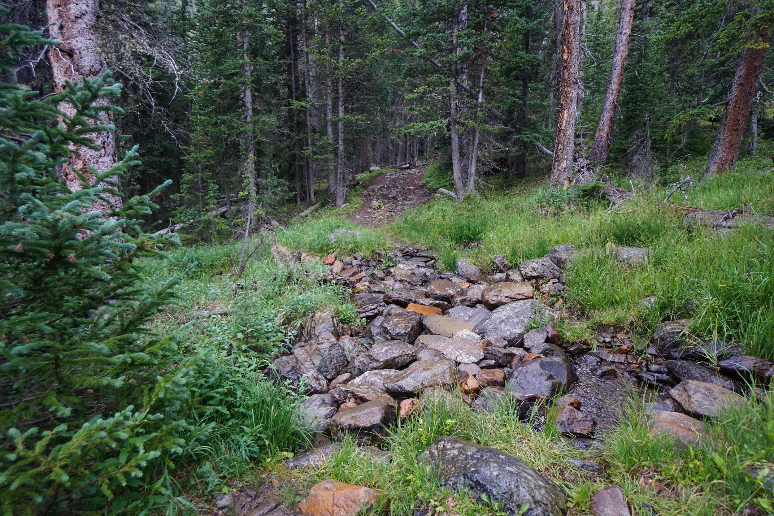 LamphierLakesDSC03706.JPG