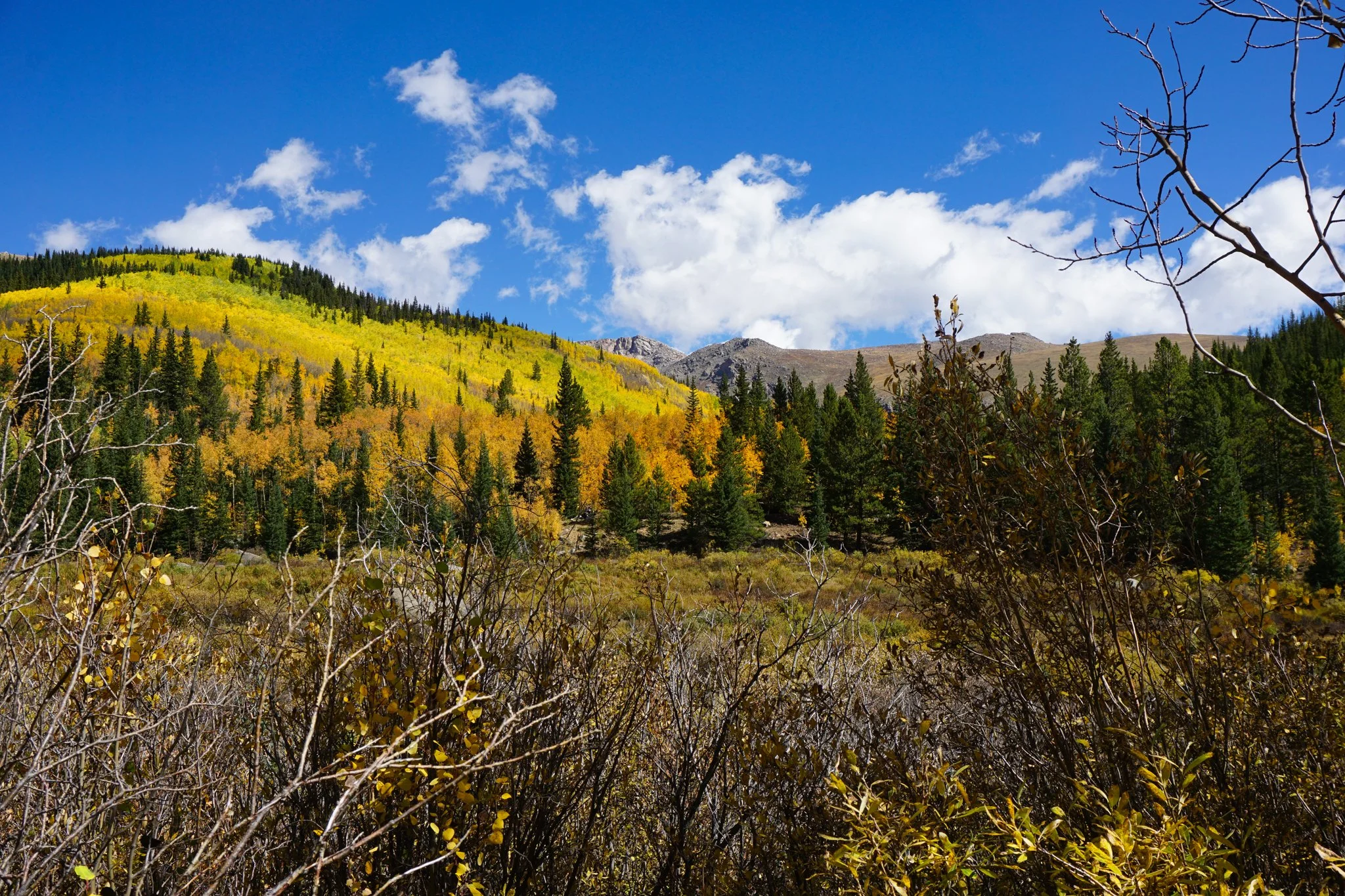 AbyssTrailDSC04998-2.jpg