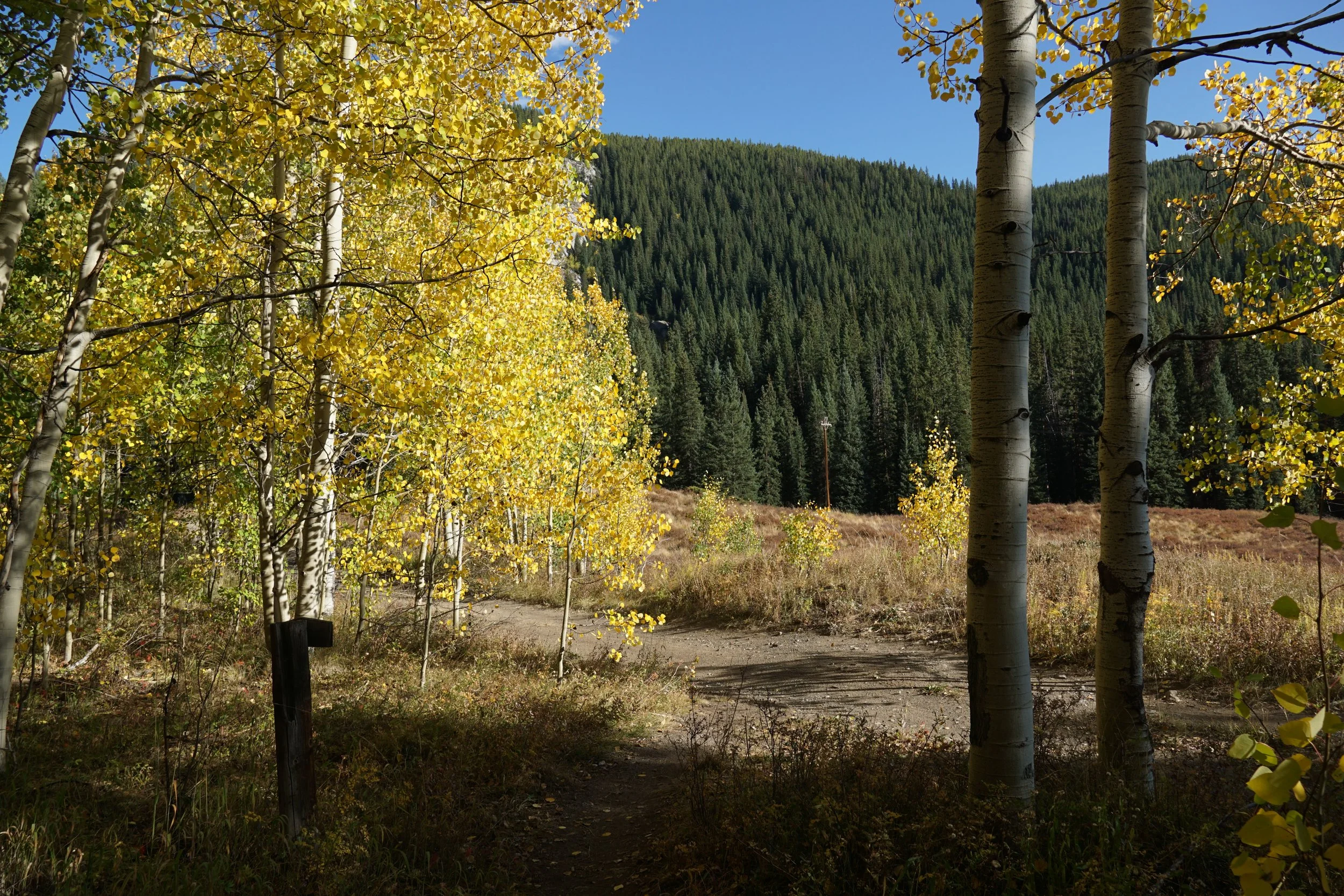 Eagle LakeDSC06693.JPG