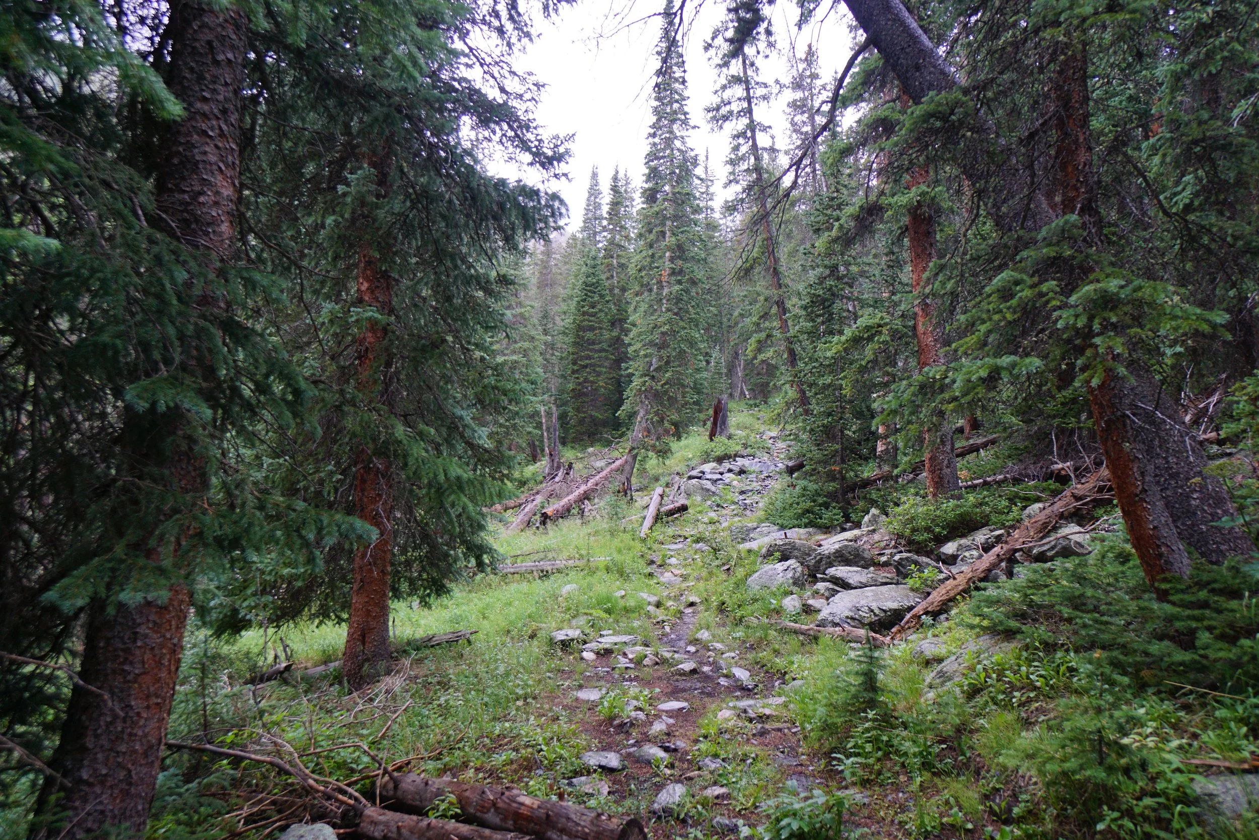 LamphierLakesDSC03704.JPG
