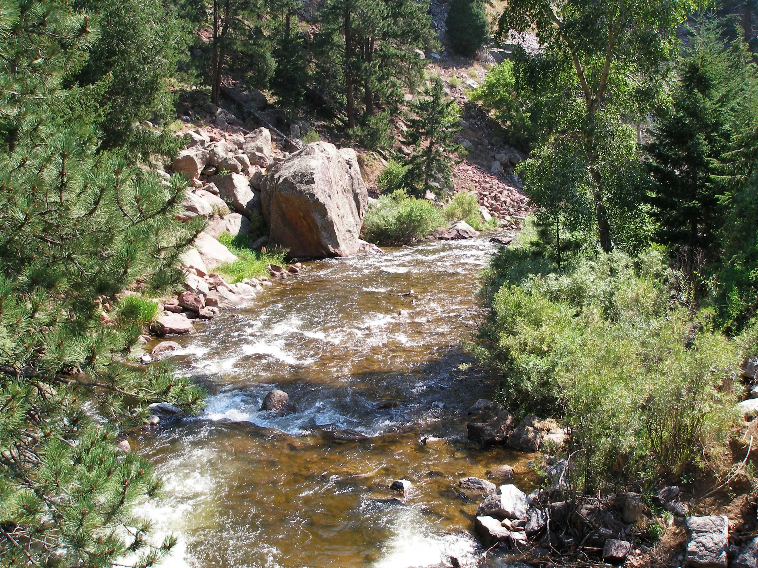 RattlesnakeGulch075.JPG