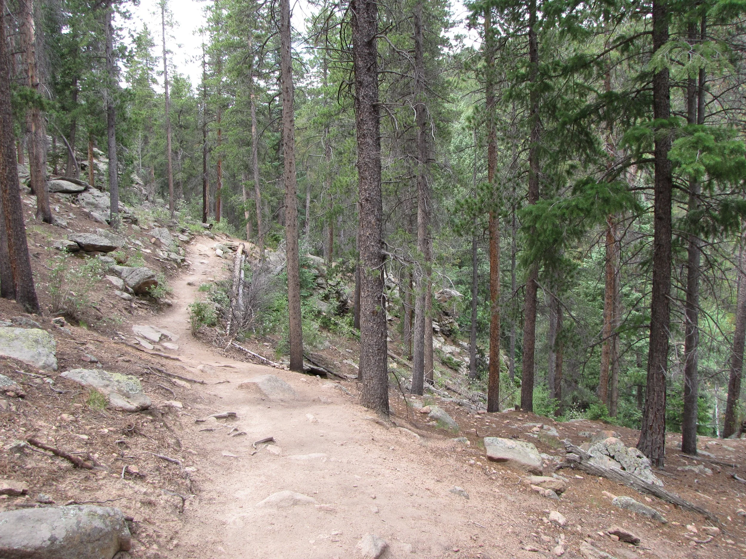 MaxwellFallsIMG_0454.jpg