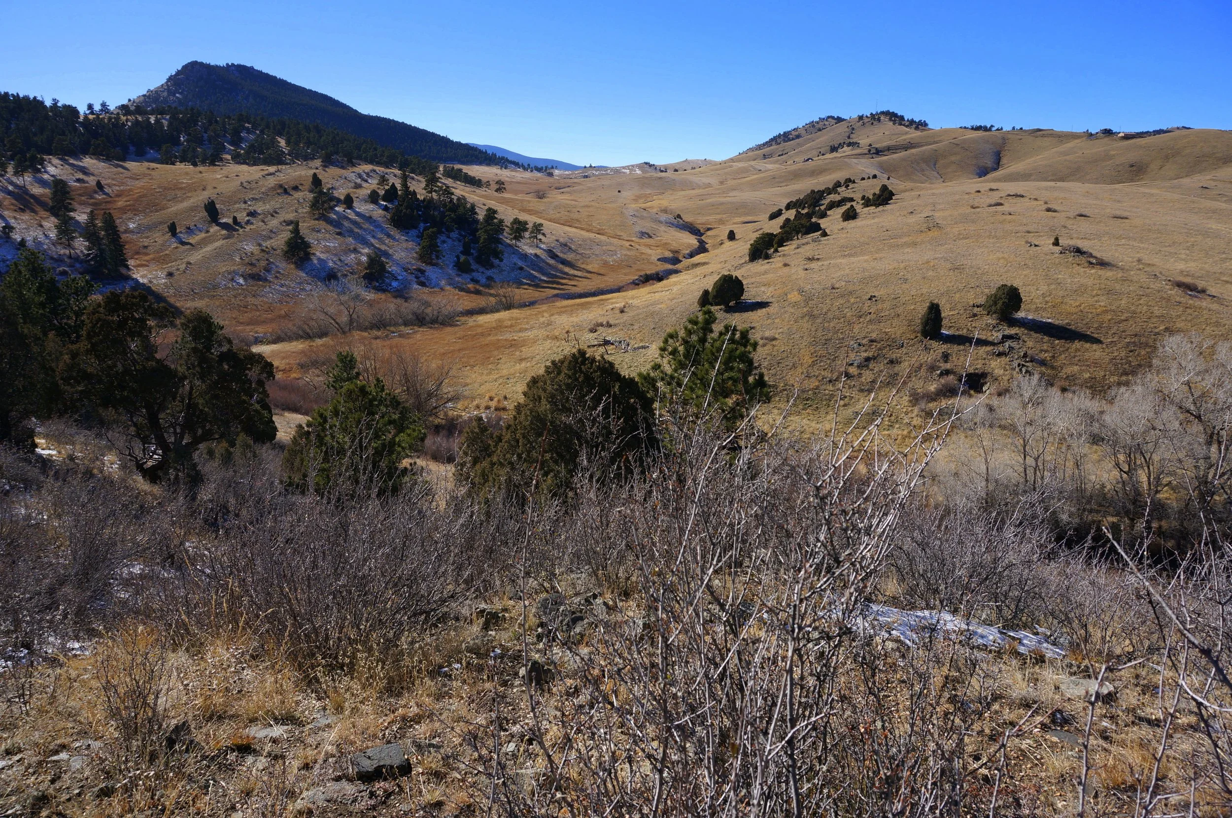 TravoisEveningDSC07172-001.jpg