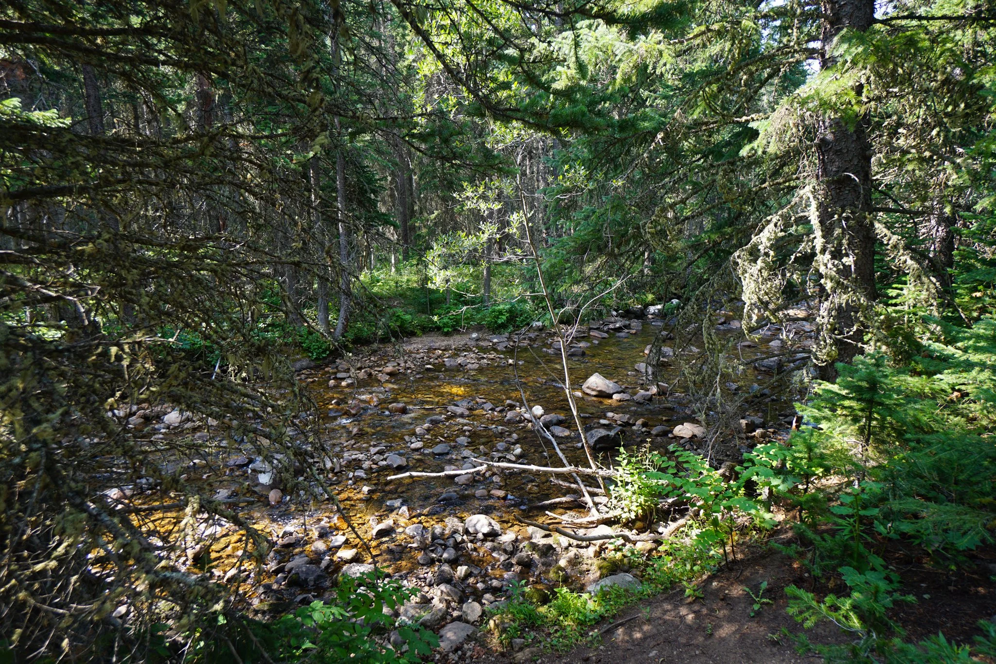HeartLakeDSC03917-2.jpg