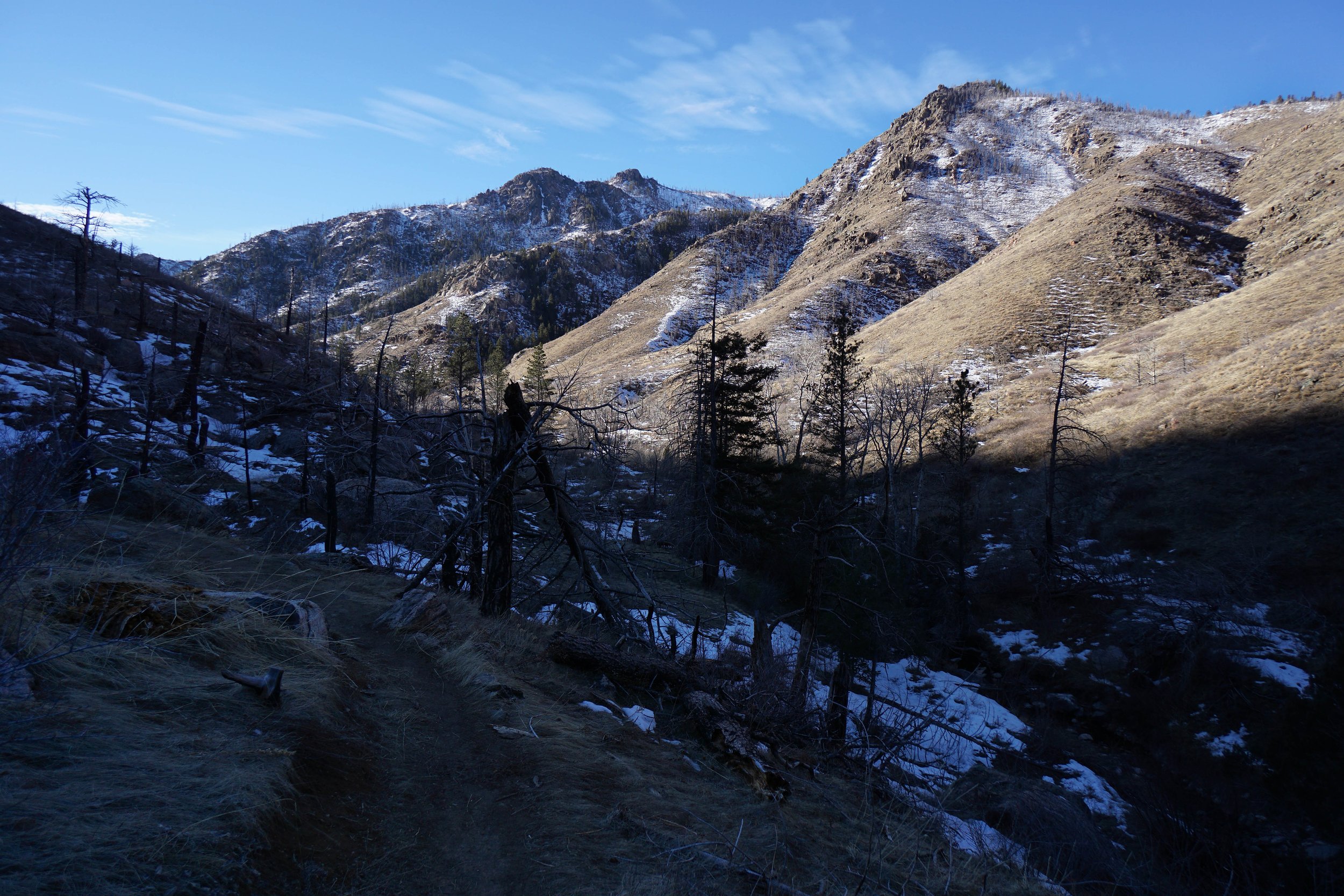 YoungGulchDSC00000-59-2-X5.jpg